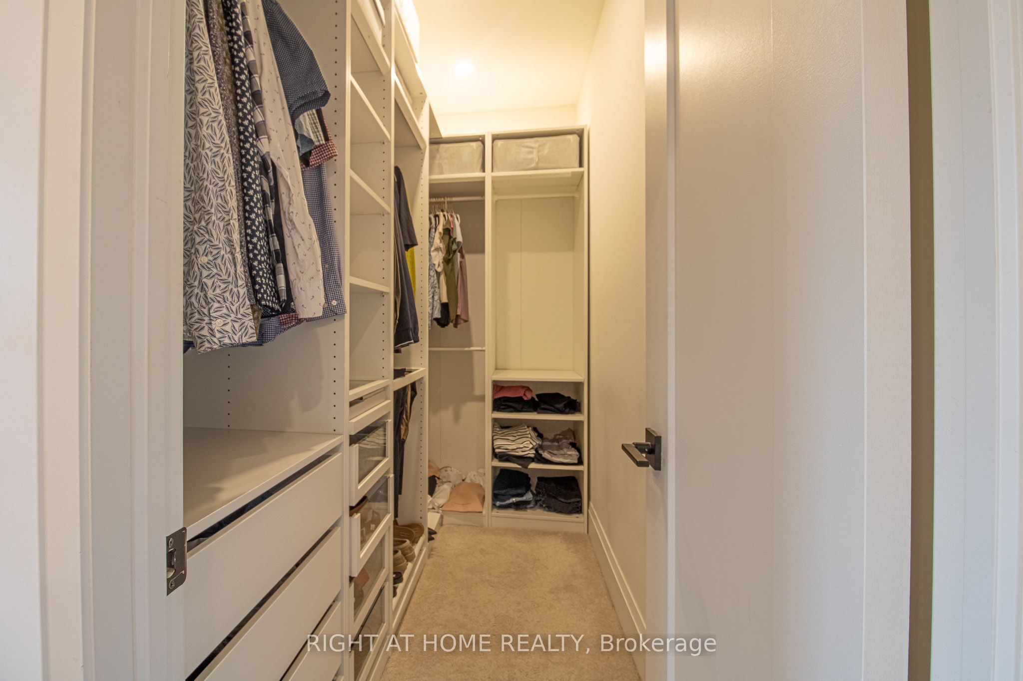 43 Longworth Avenue Property Photo 15