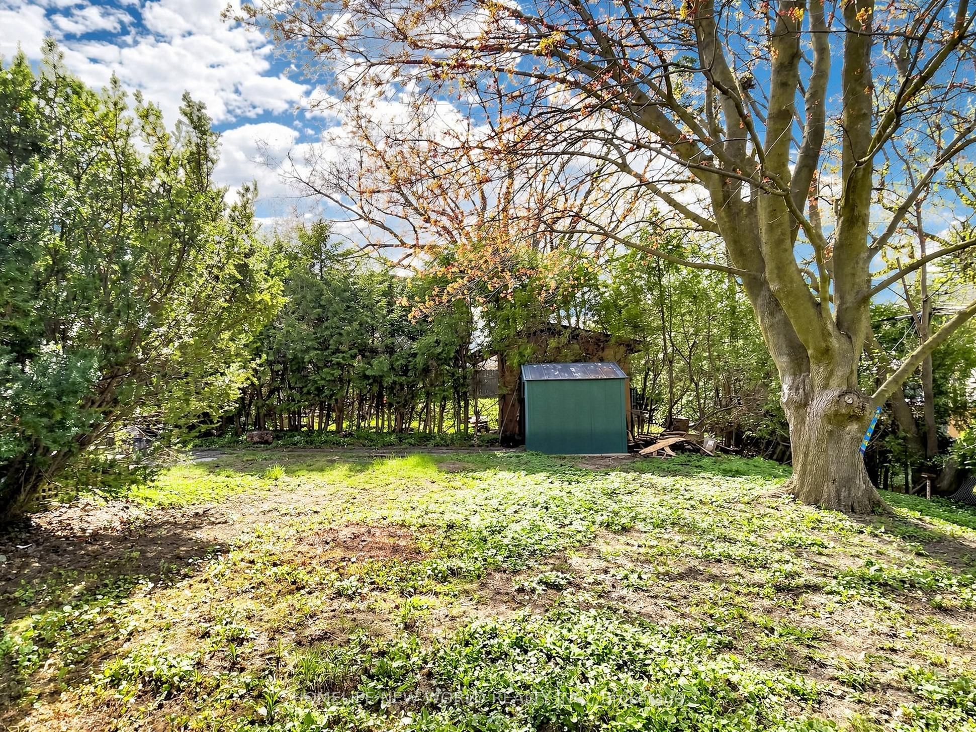 74 Child Drive Property Photo 37