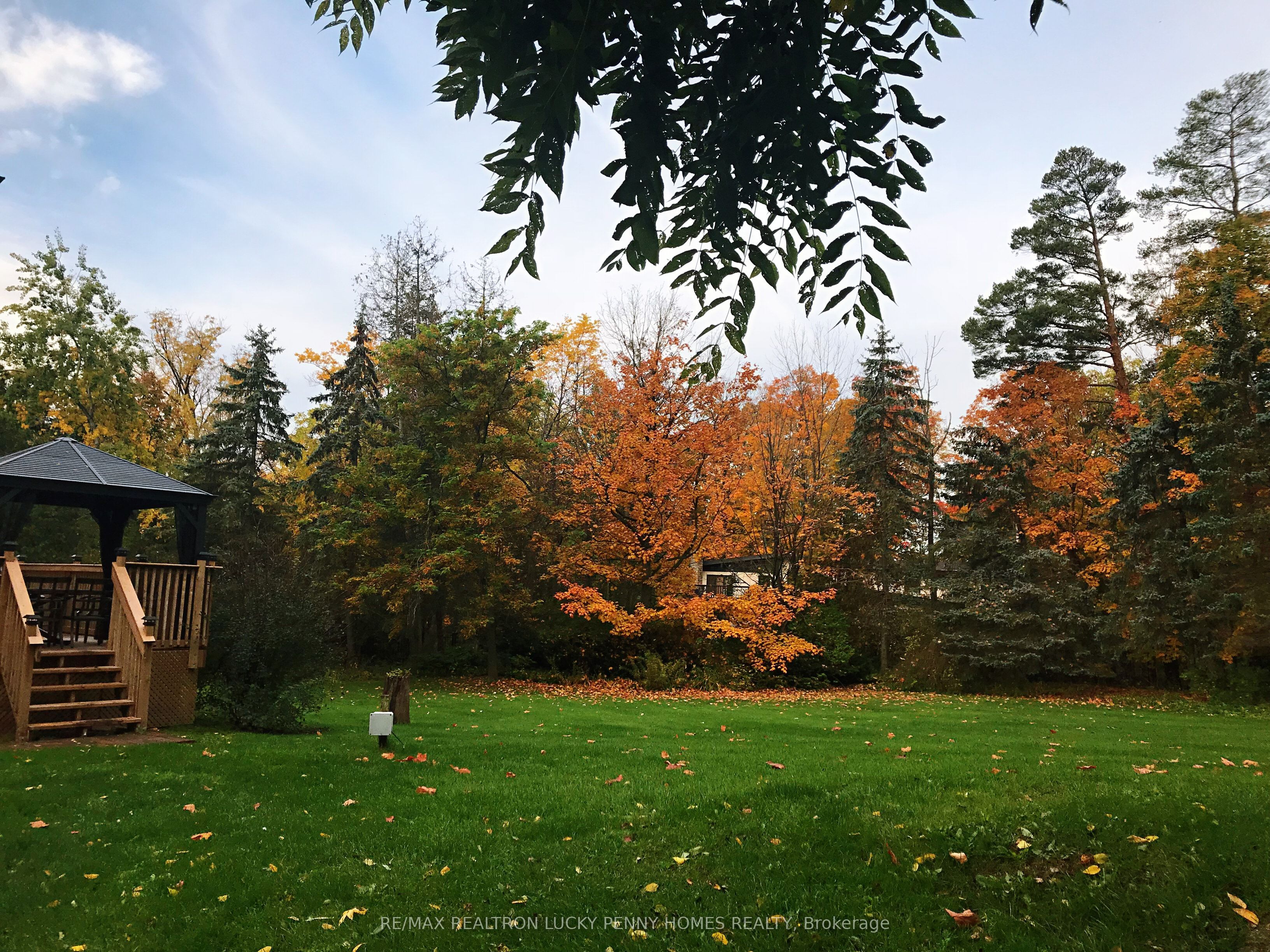 18 Walnut Glen Place Property Photo 45