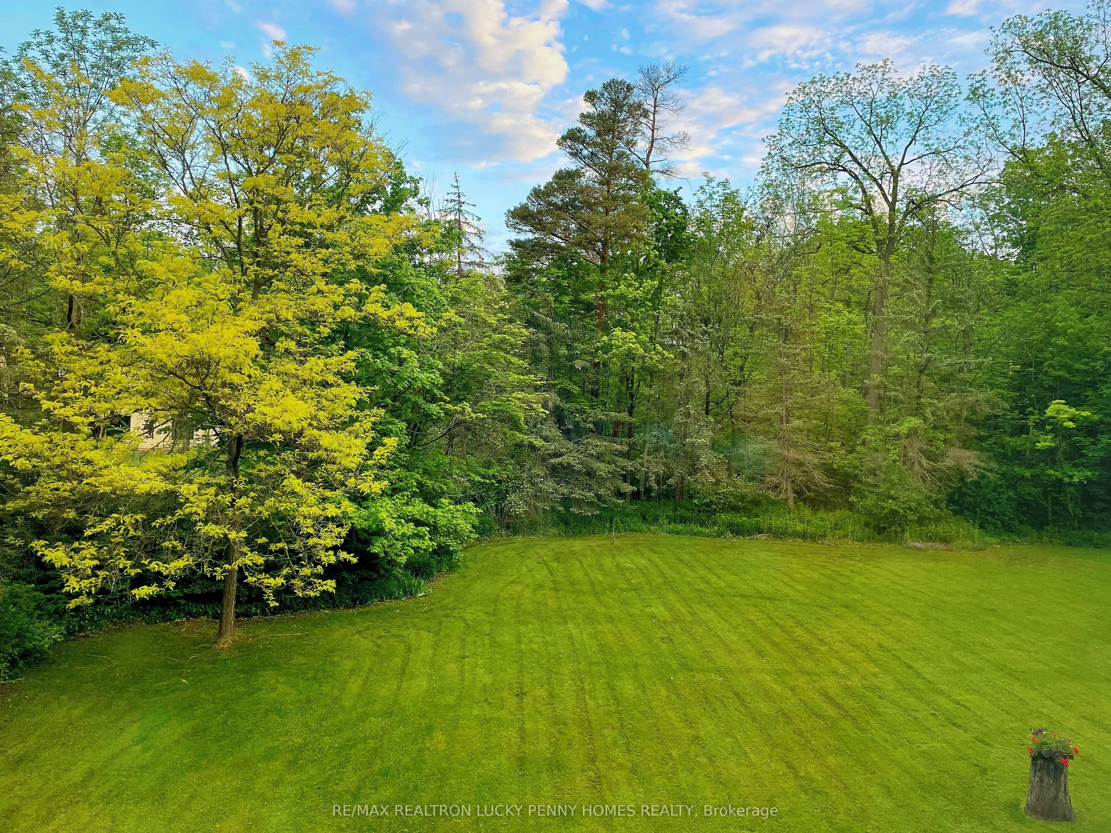 18 Walnut Glen Place Property Photo 46