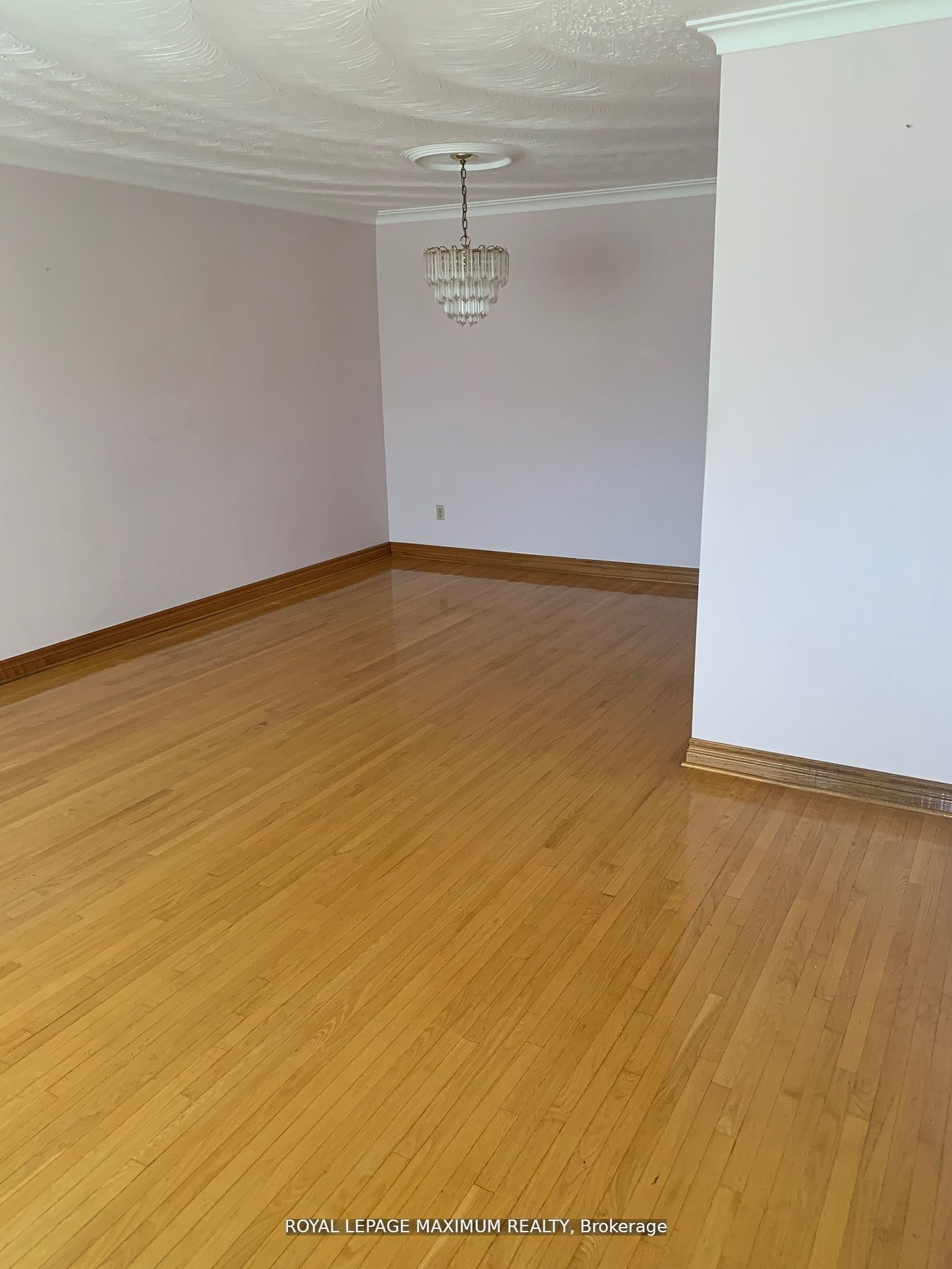 155 Rainbow Drive Property Photo 15