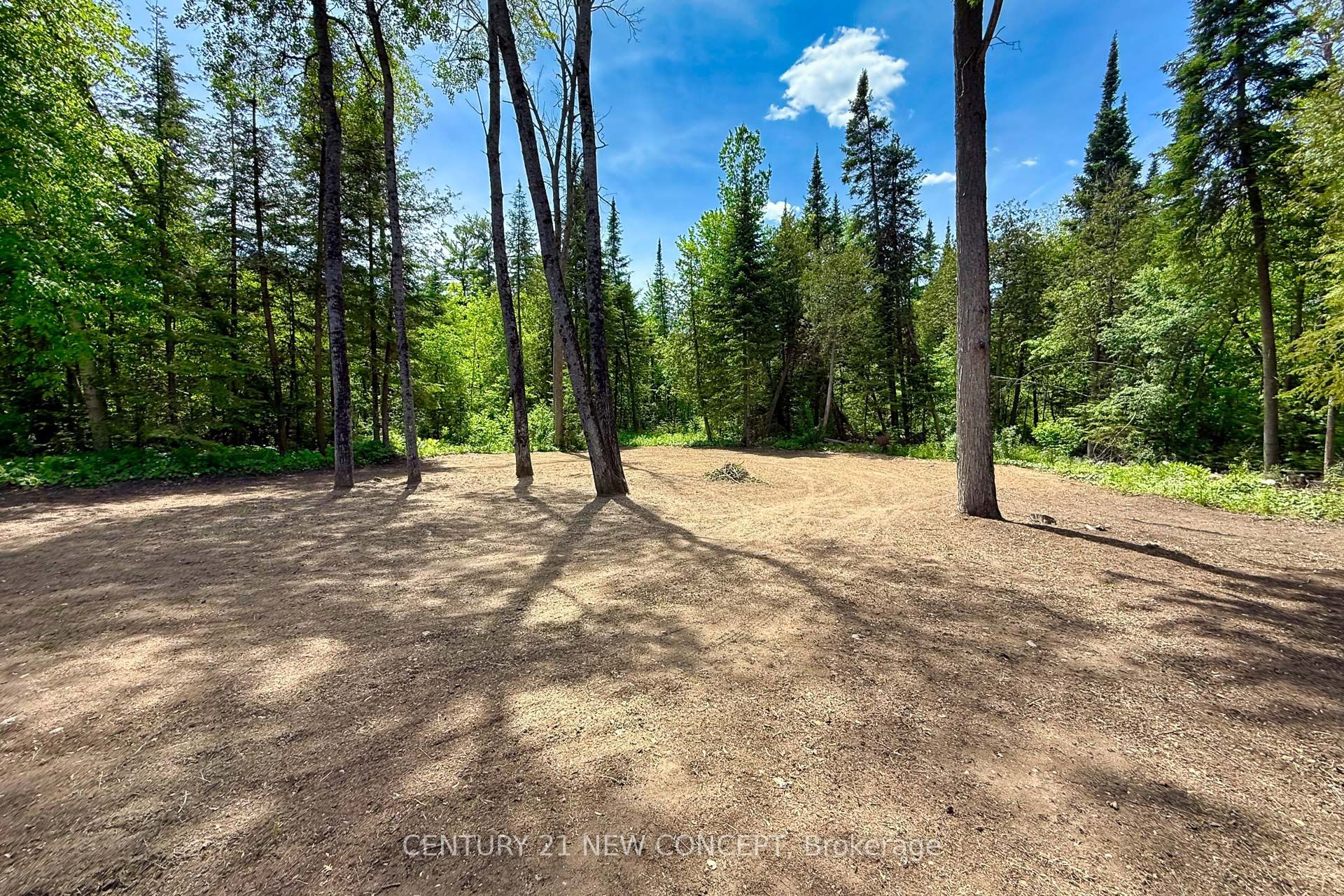 20430 Bathurst Street Property Photo 27