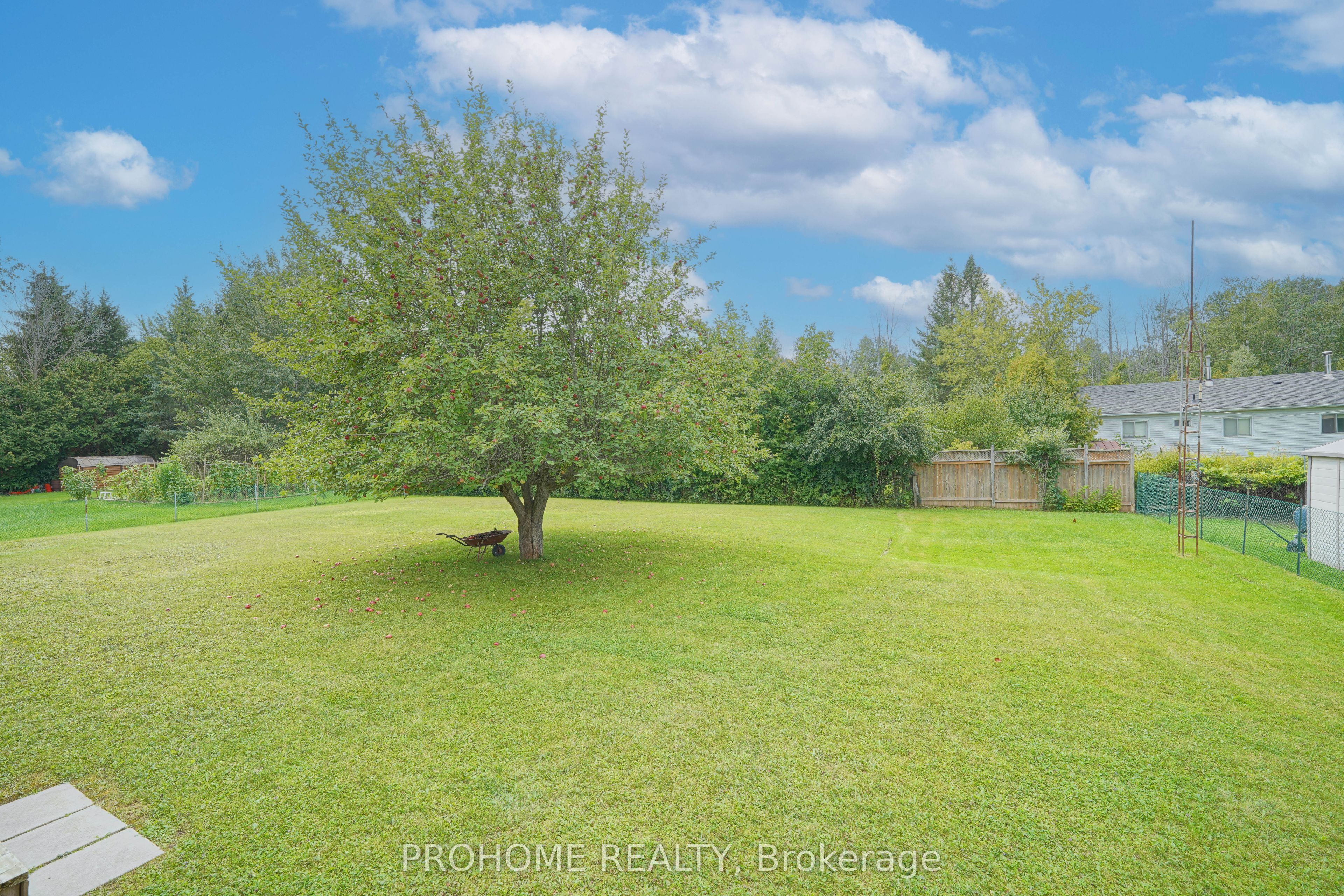 10 Joel Avenue Property Photo 27