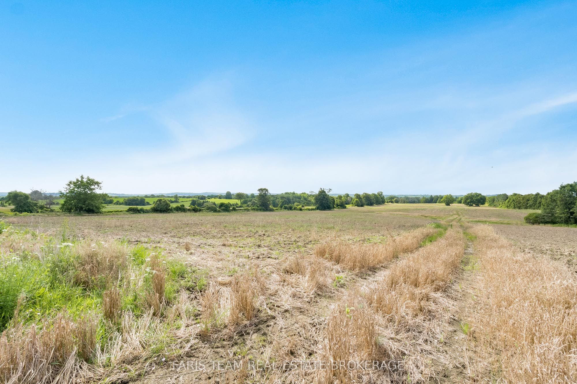 4065 15th Line Property Photo 3