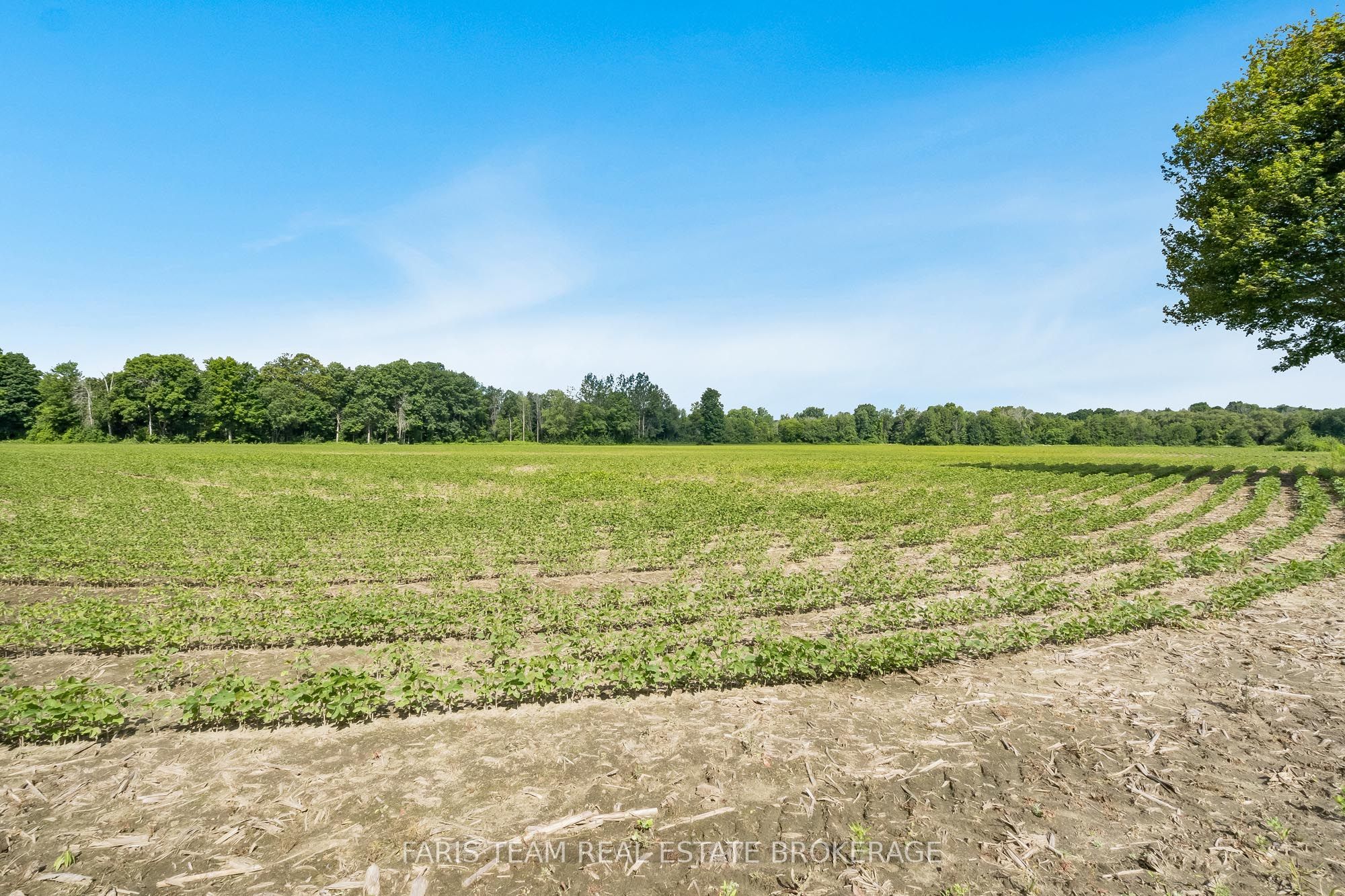 4065 15th Line Property Photo 4