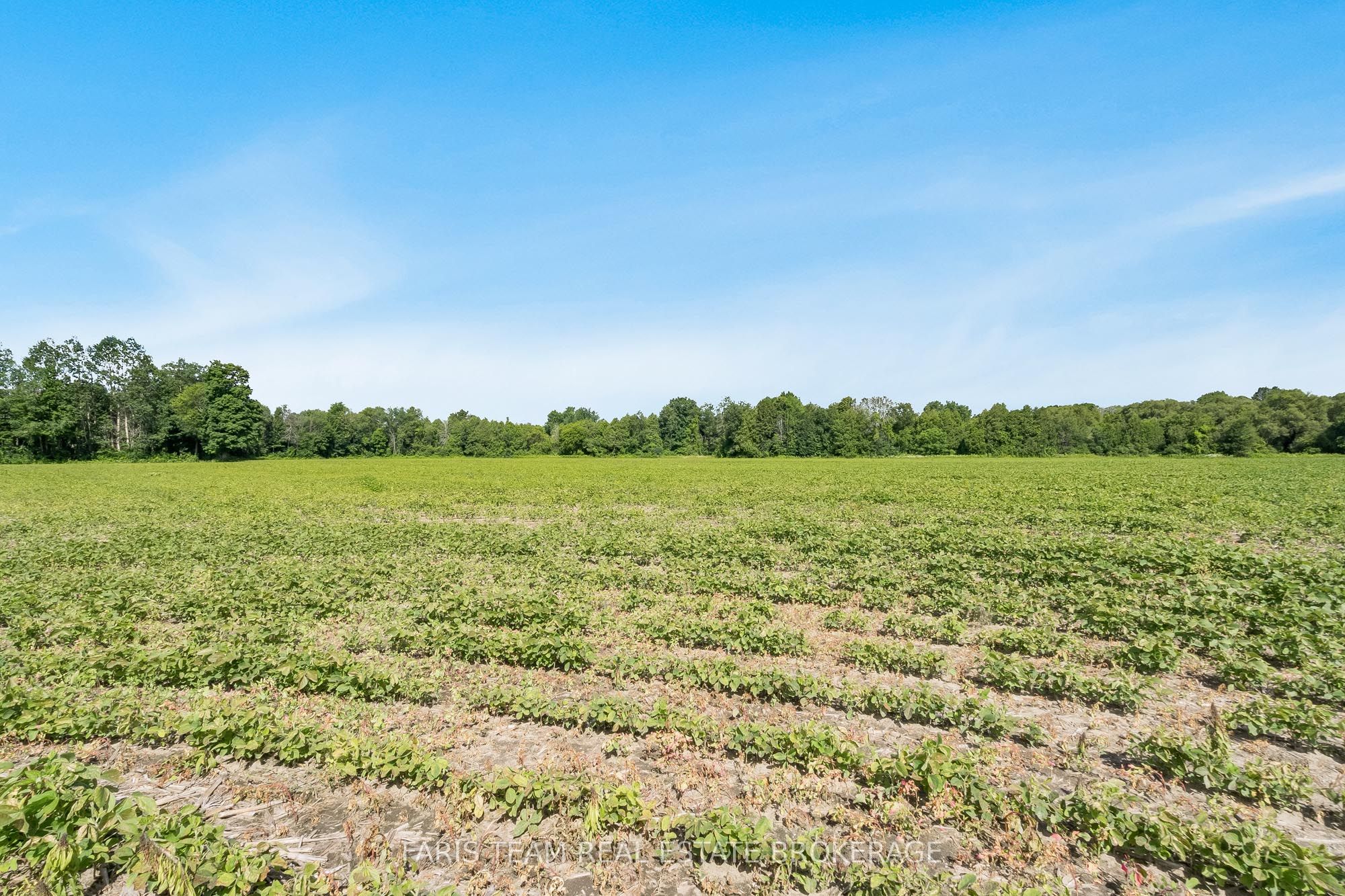 4065 15th Line Property Photo 5