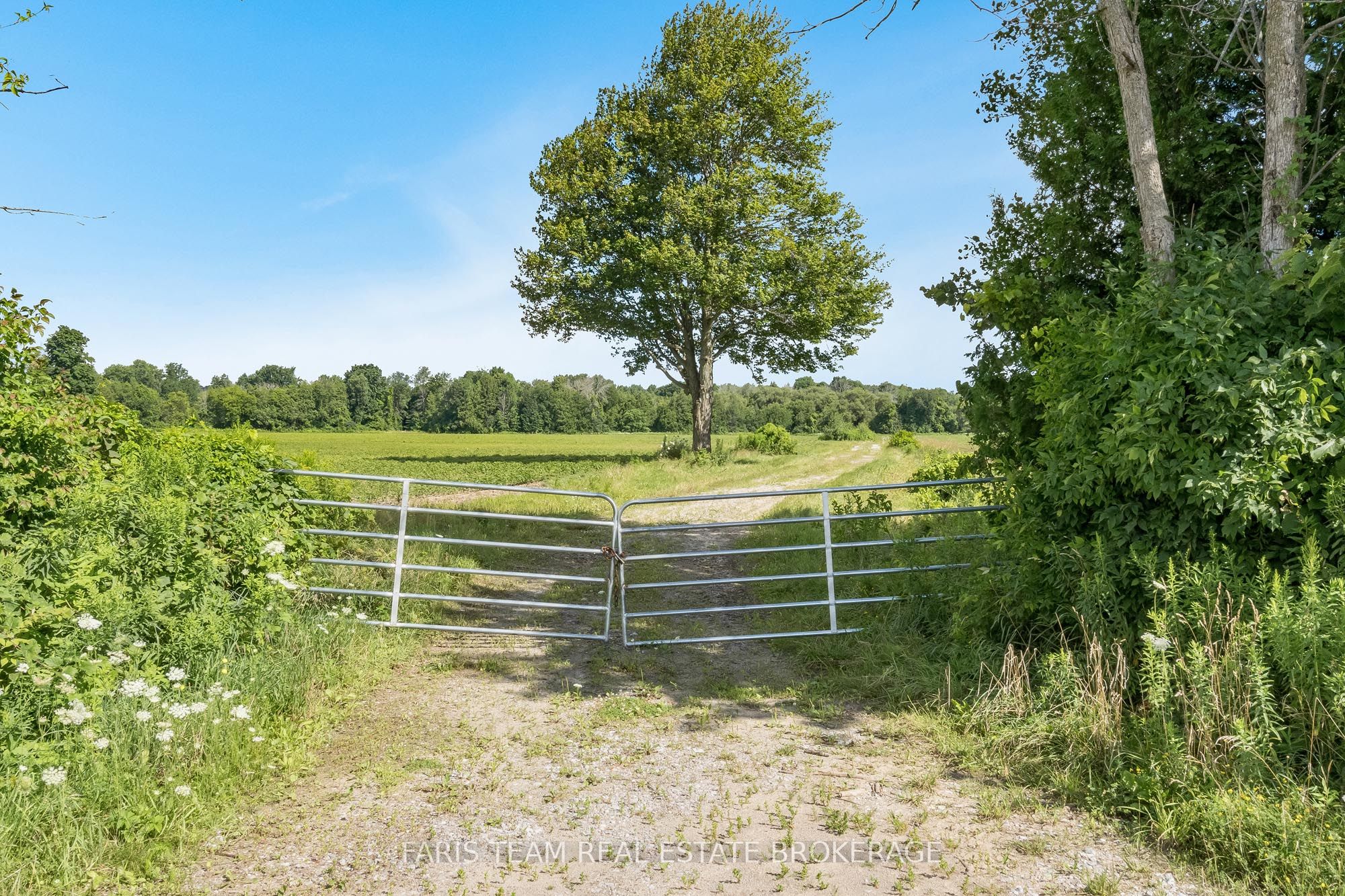 4065 15th Line Property Photo 6