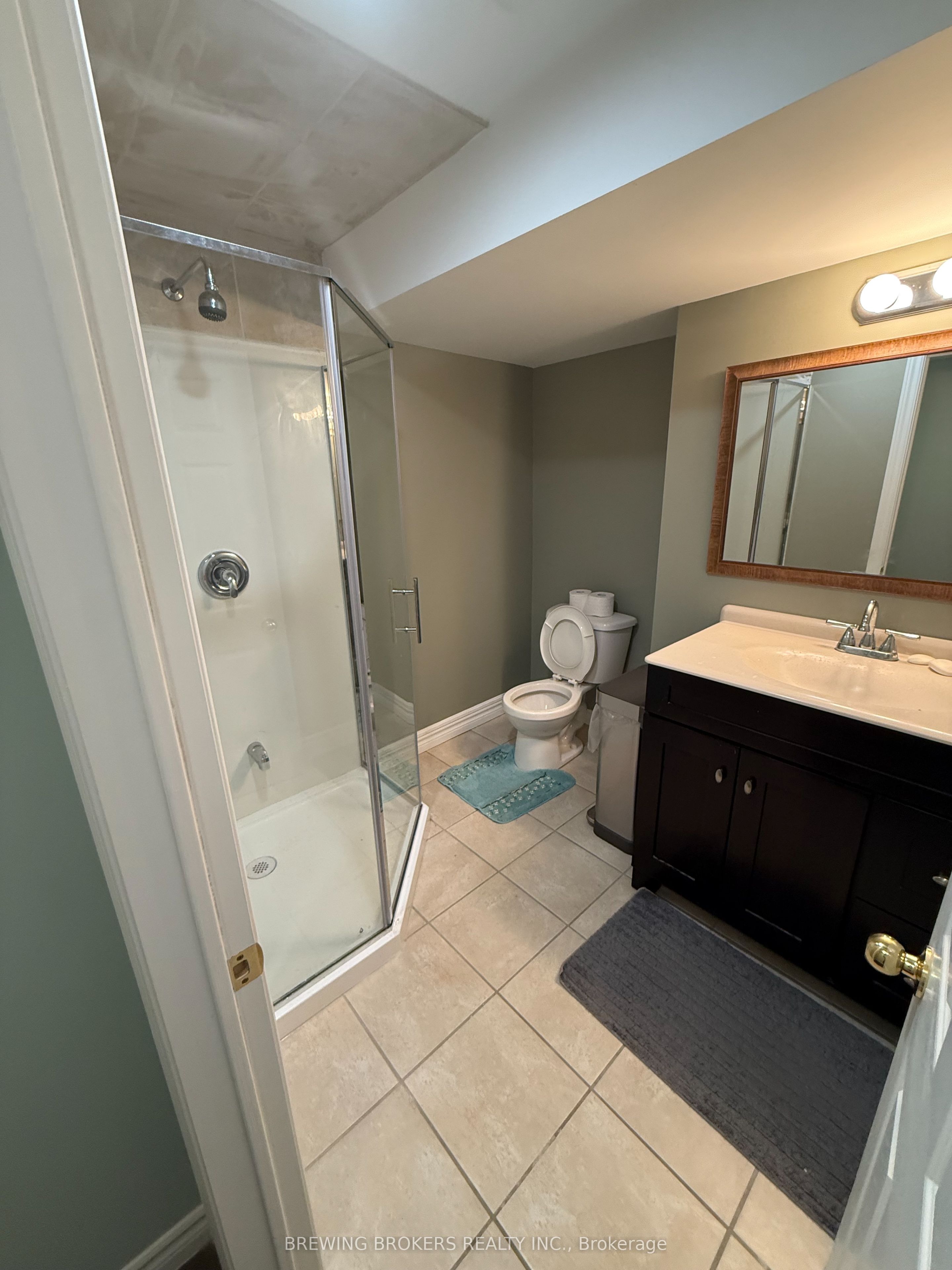 64 Brass Drive Bsmt Property Photo 16