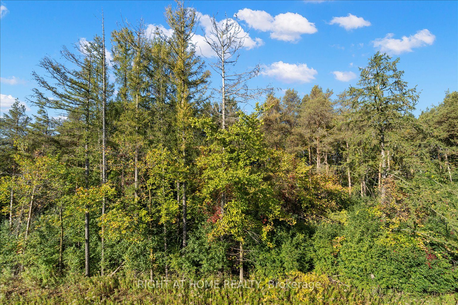 121 Milky Way Drive Property Photo 41
