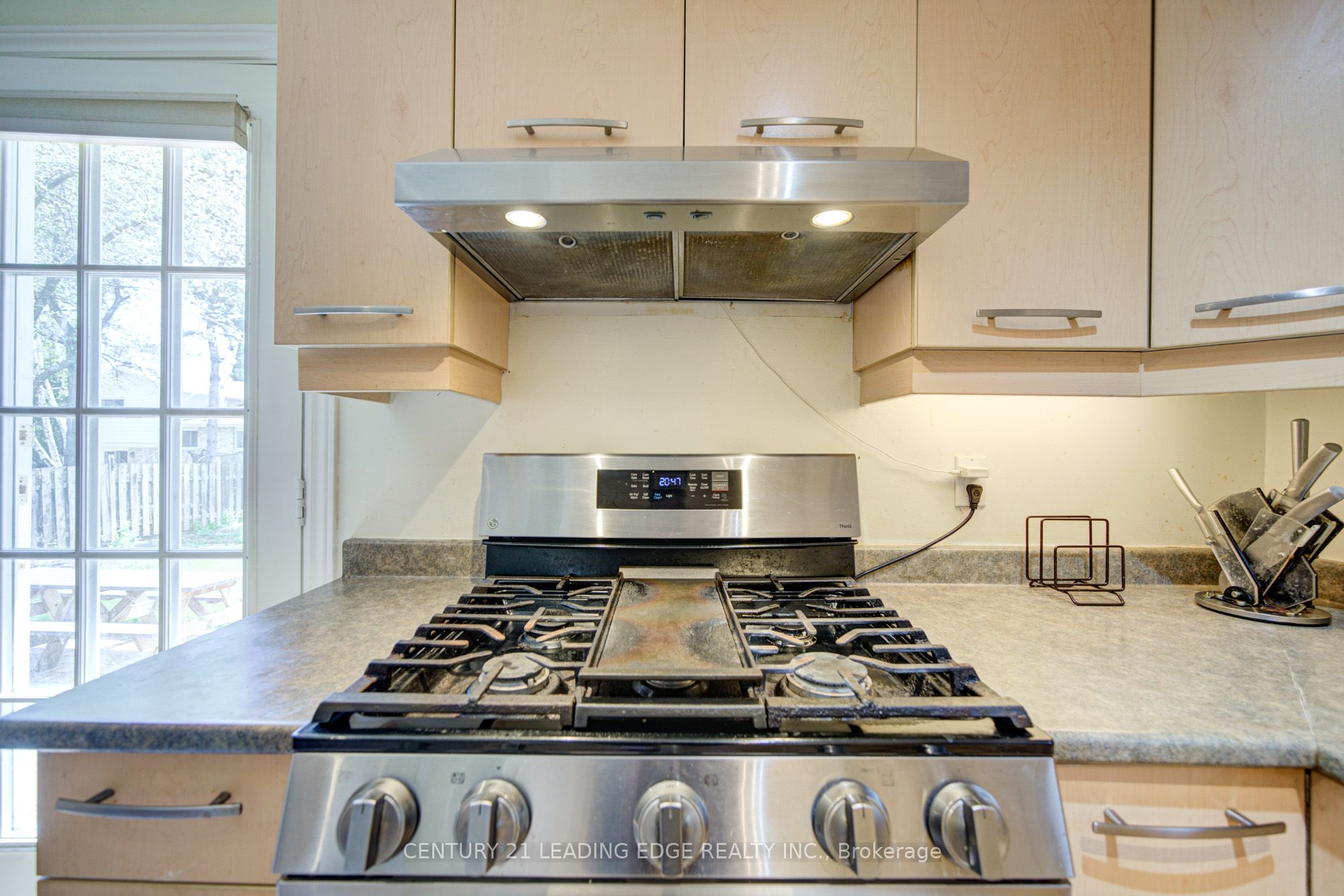 43 Carlton Road Property Photo 8