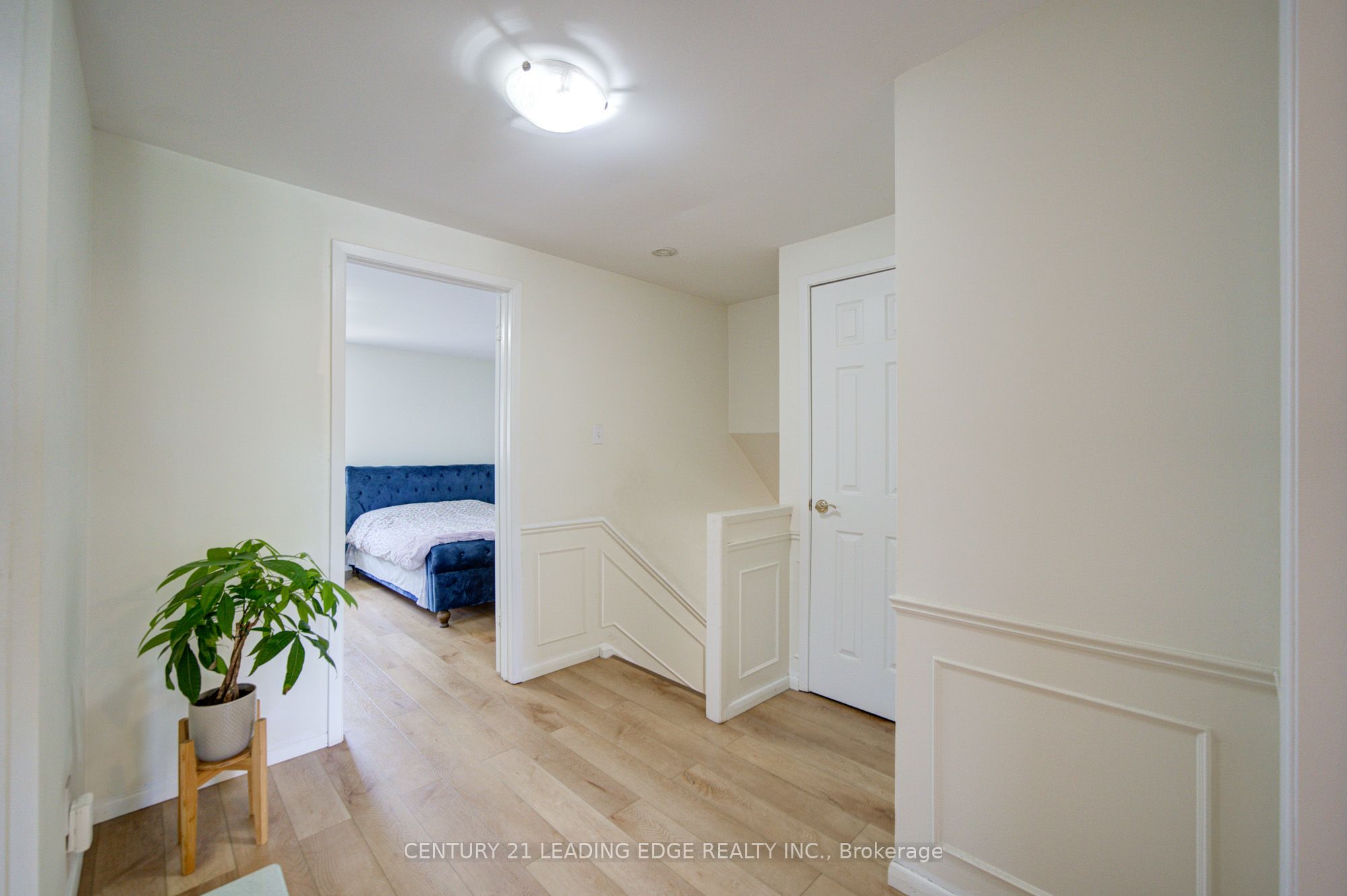 43 Carlton Road Property Photo 11