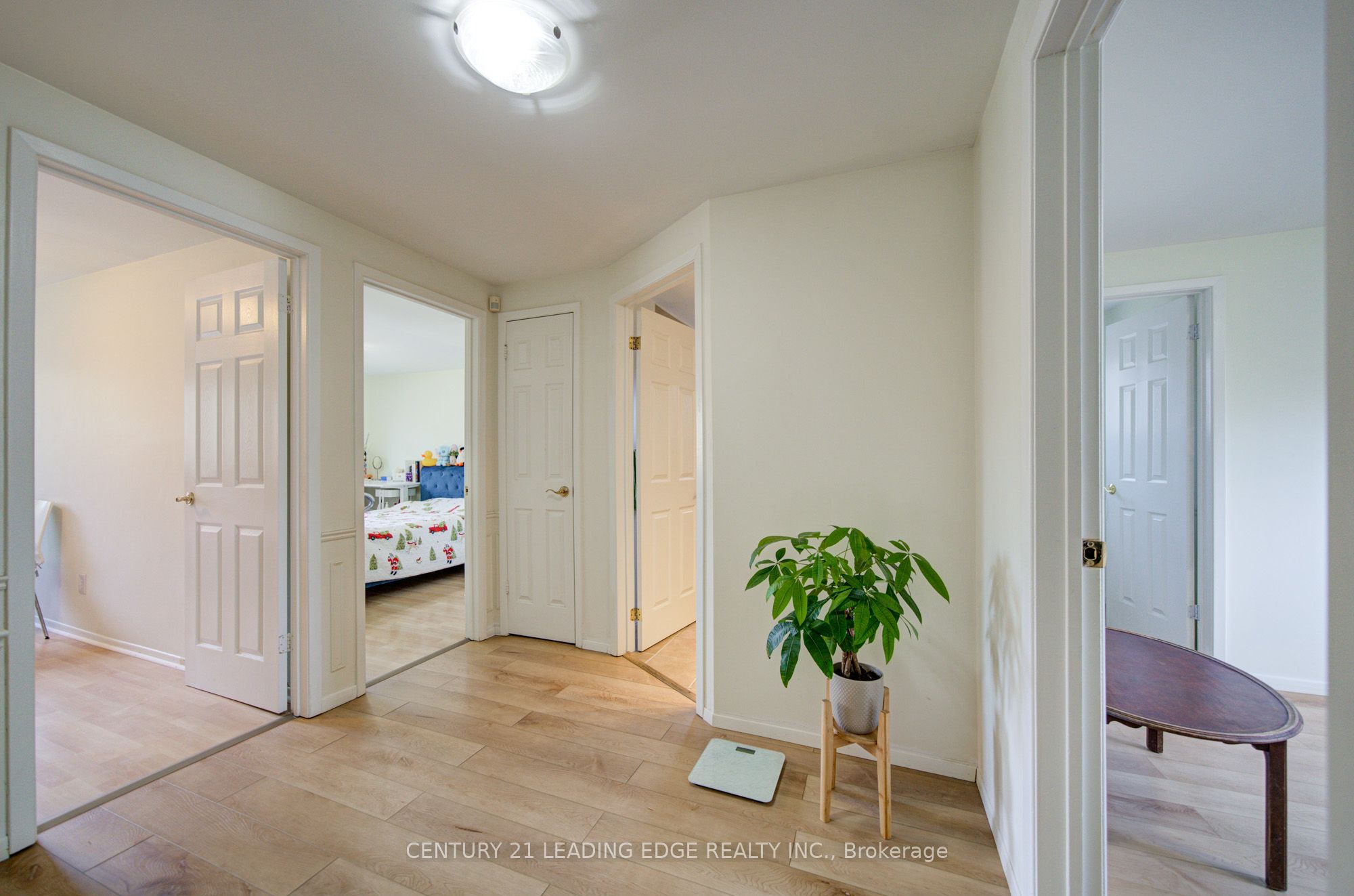 43 Carlton Road Property Photo 12