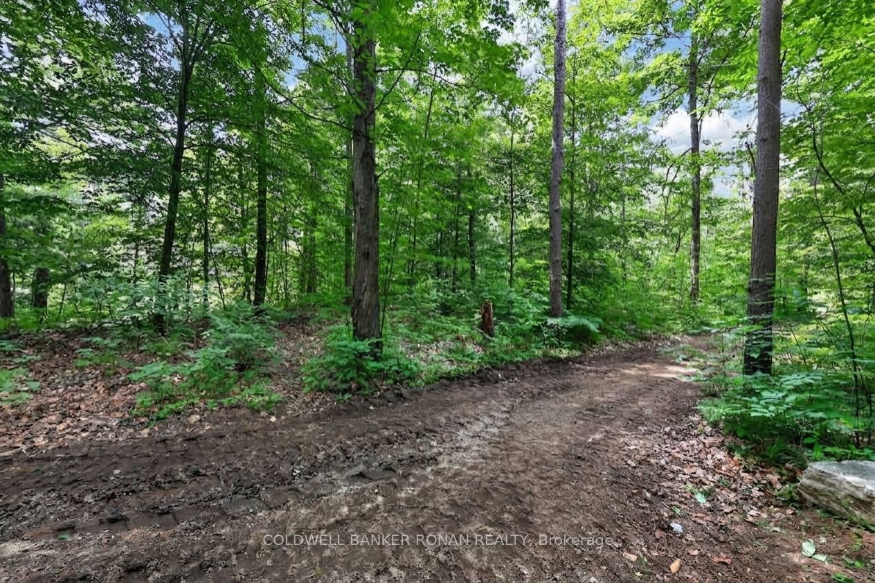 9087 Webster Road Property Photo 44