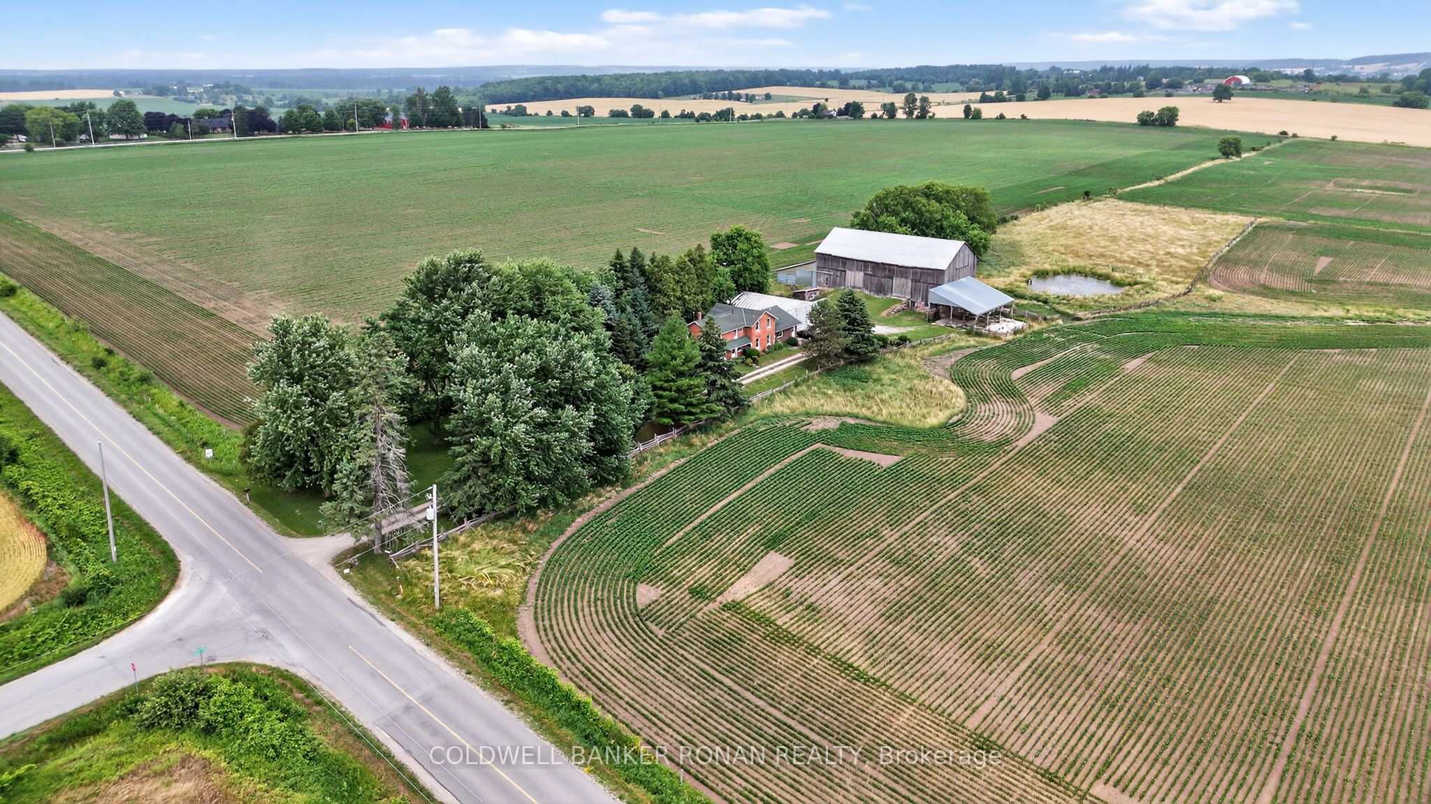 2577 Adjala Tecumseth Townline Property Photo 4
