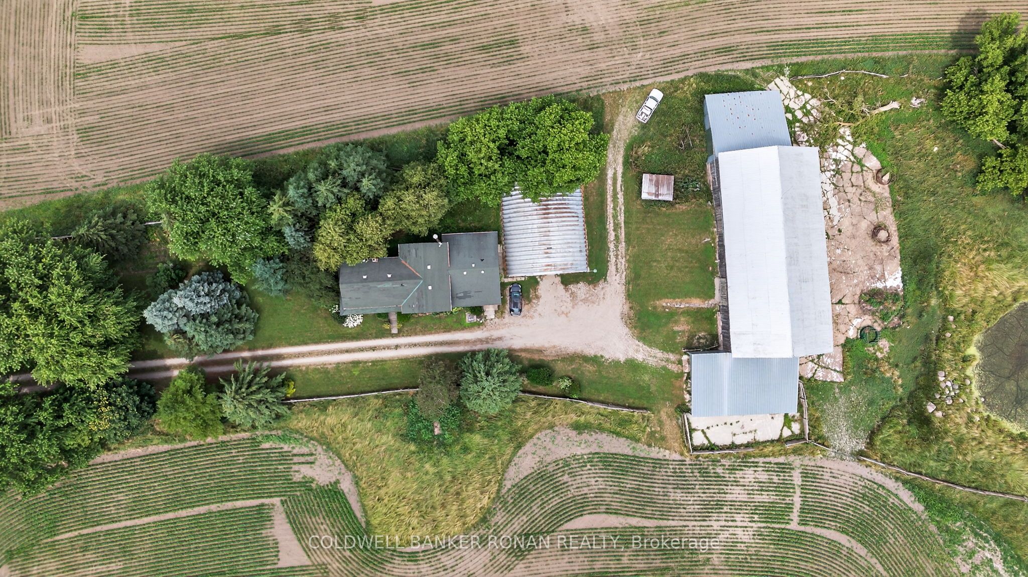 2577 Adjala Tecumseth Townline Property Photo 5