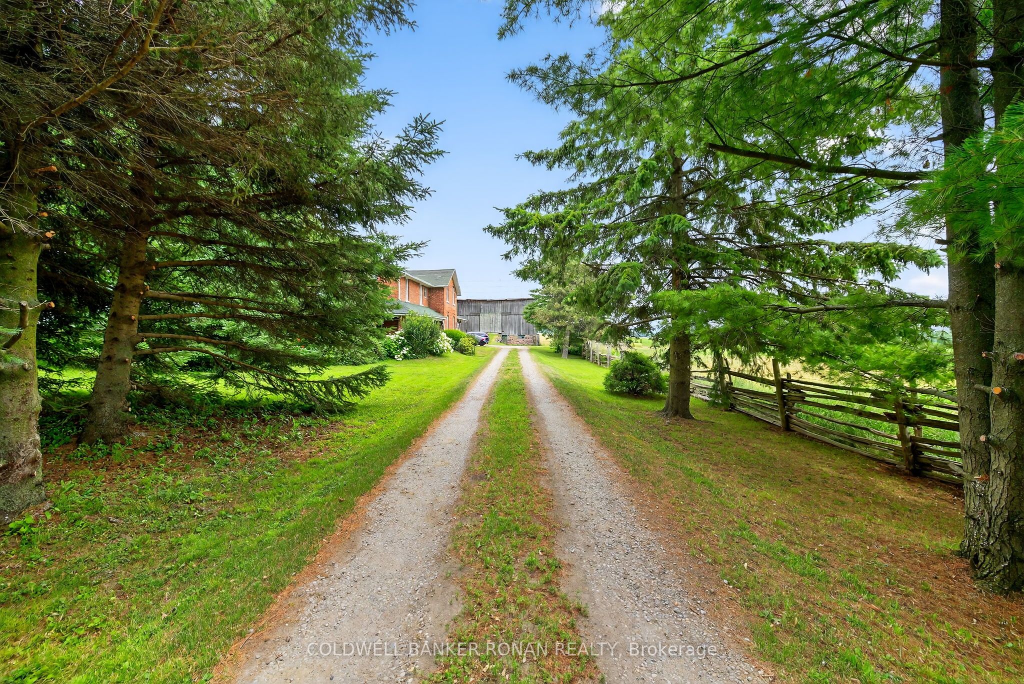 2577 Adjala Tecumseth Townline Property Photo 11