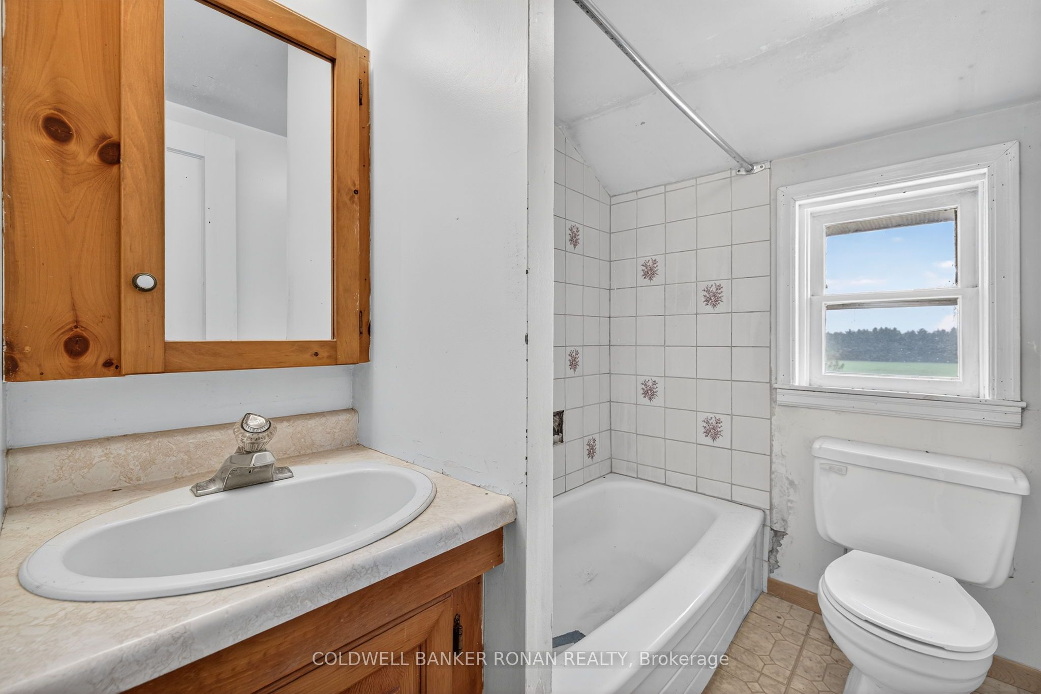 2577 Adjala Tecumseth Townline Property Photo 22