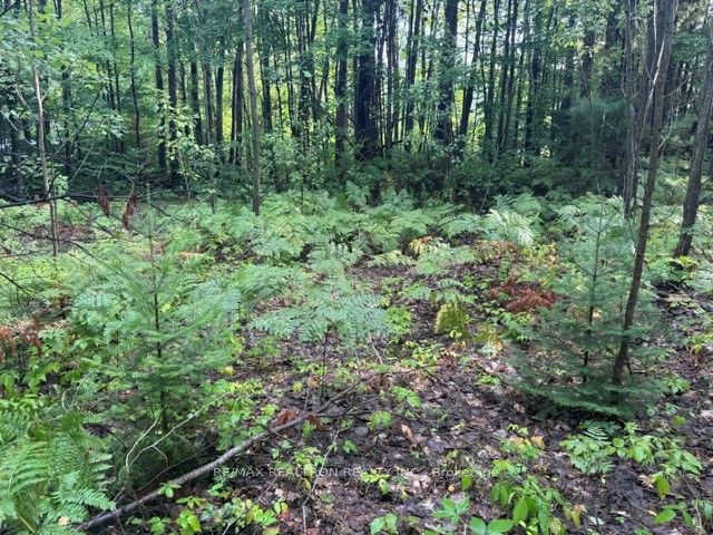 8413 10th Line Property Photo 10