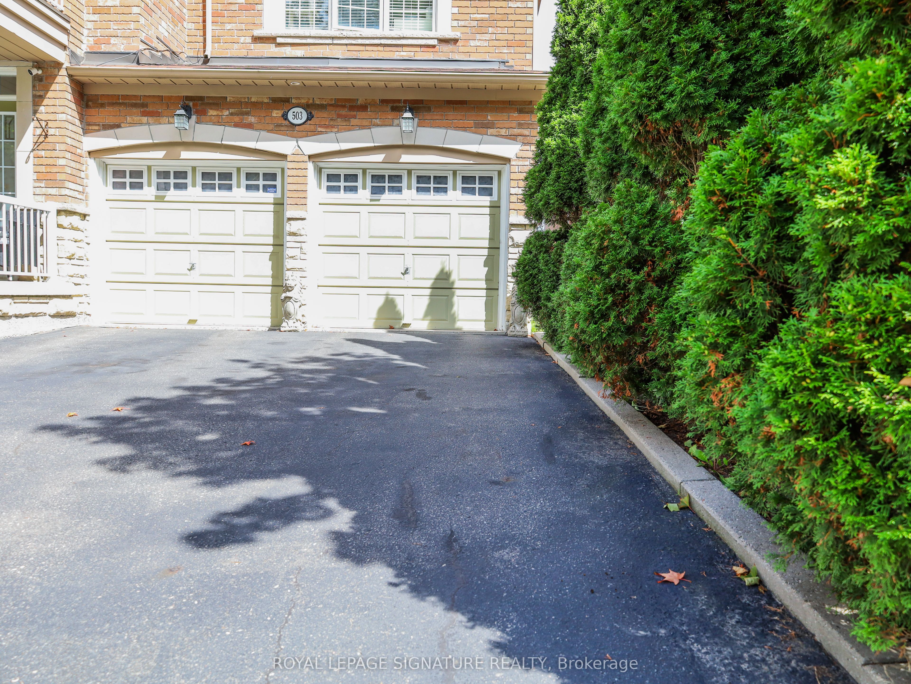 503 Thornhill Woods Drive Basement Property Photo 1