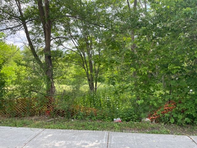 49 Main St. South Unionville Property Photo 9