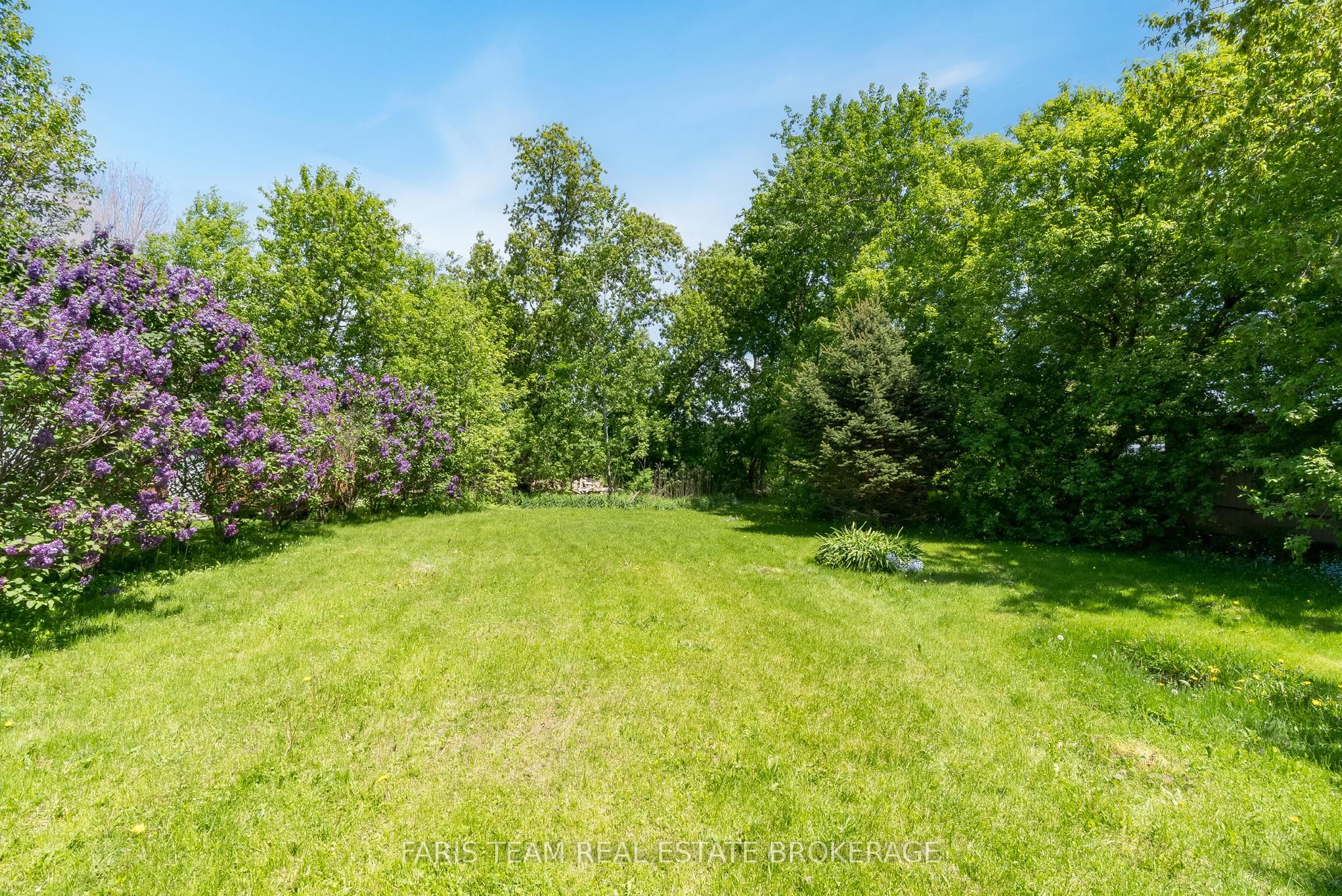 236 Barrie Street Property Photo 39