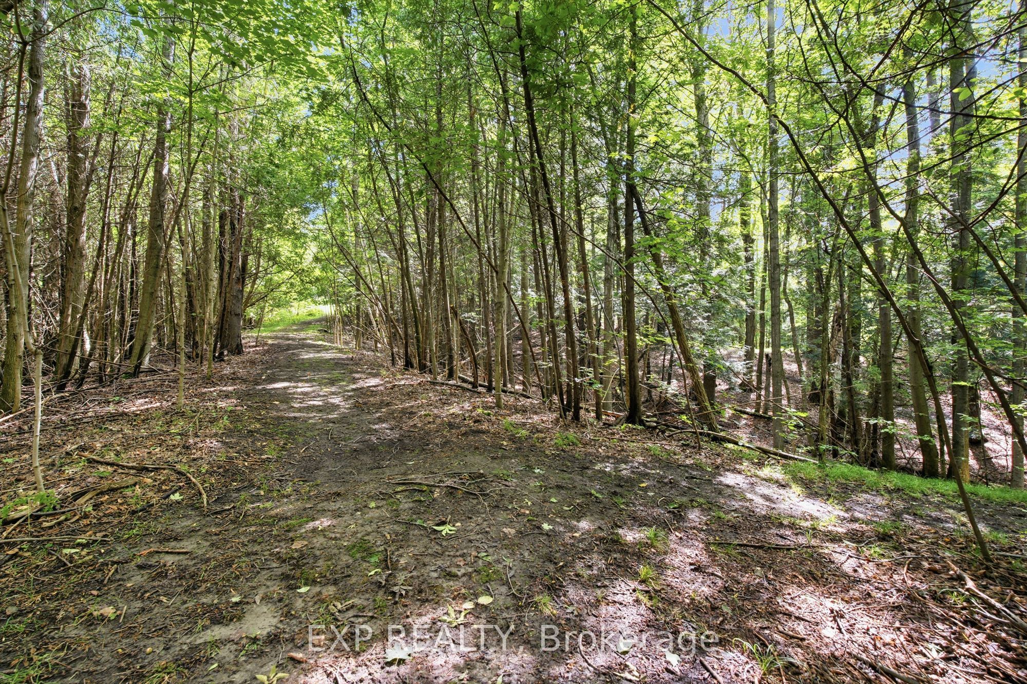 1785 Davis Drive W Property Photo 34