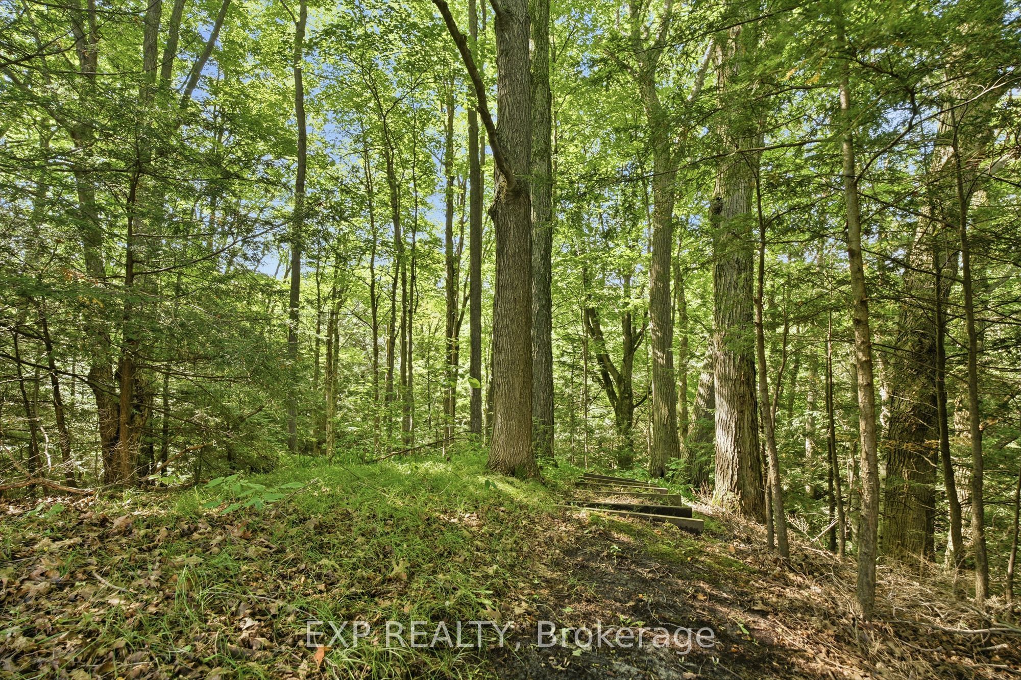 1785 Davis Drive W Property Photo 35