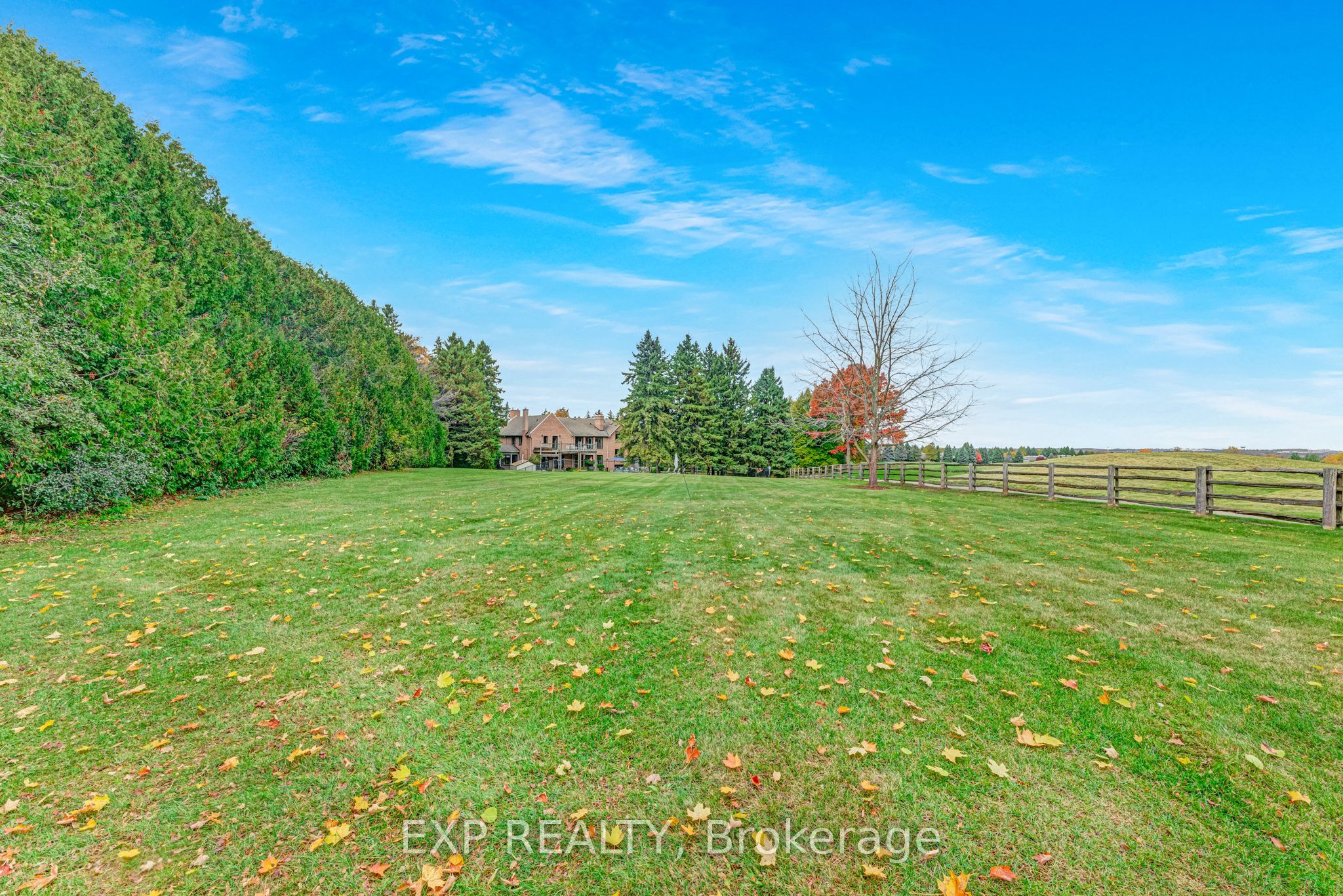 15 Jarvis Avenue Property Photo 28