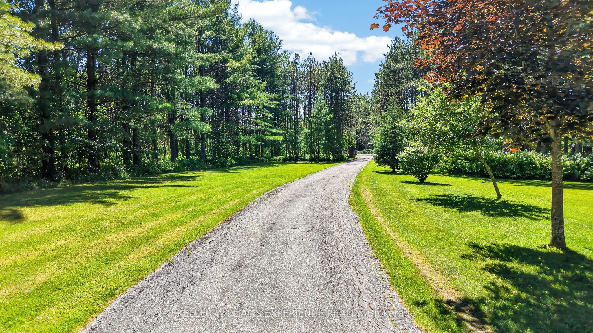 7831 5th Line Property Photo 3