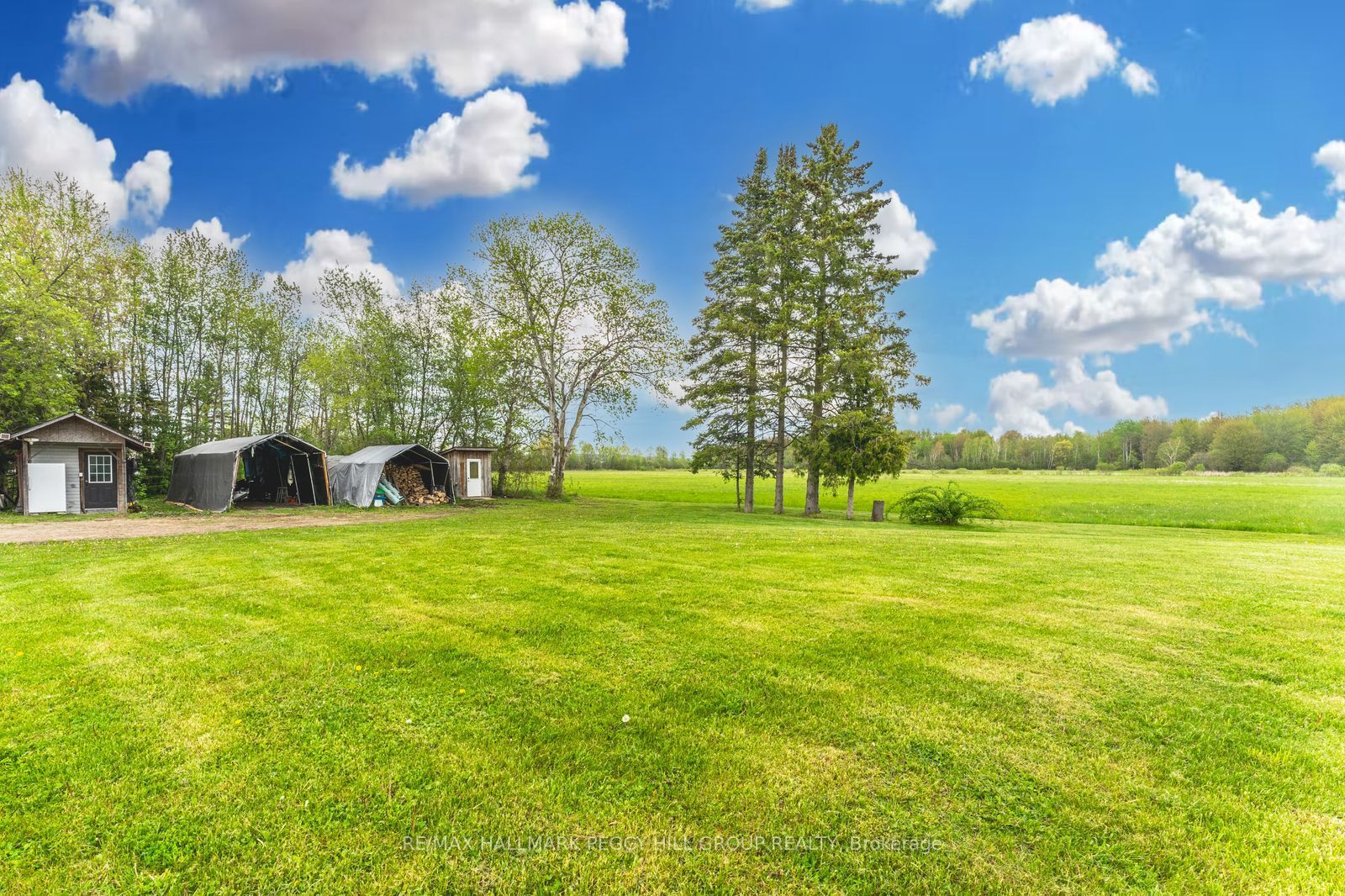 8747 10th Line Property Photo 20
