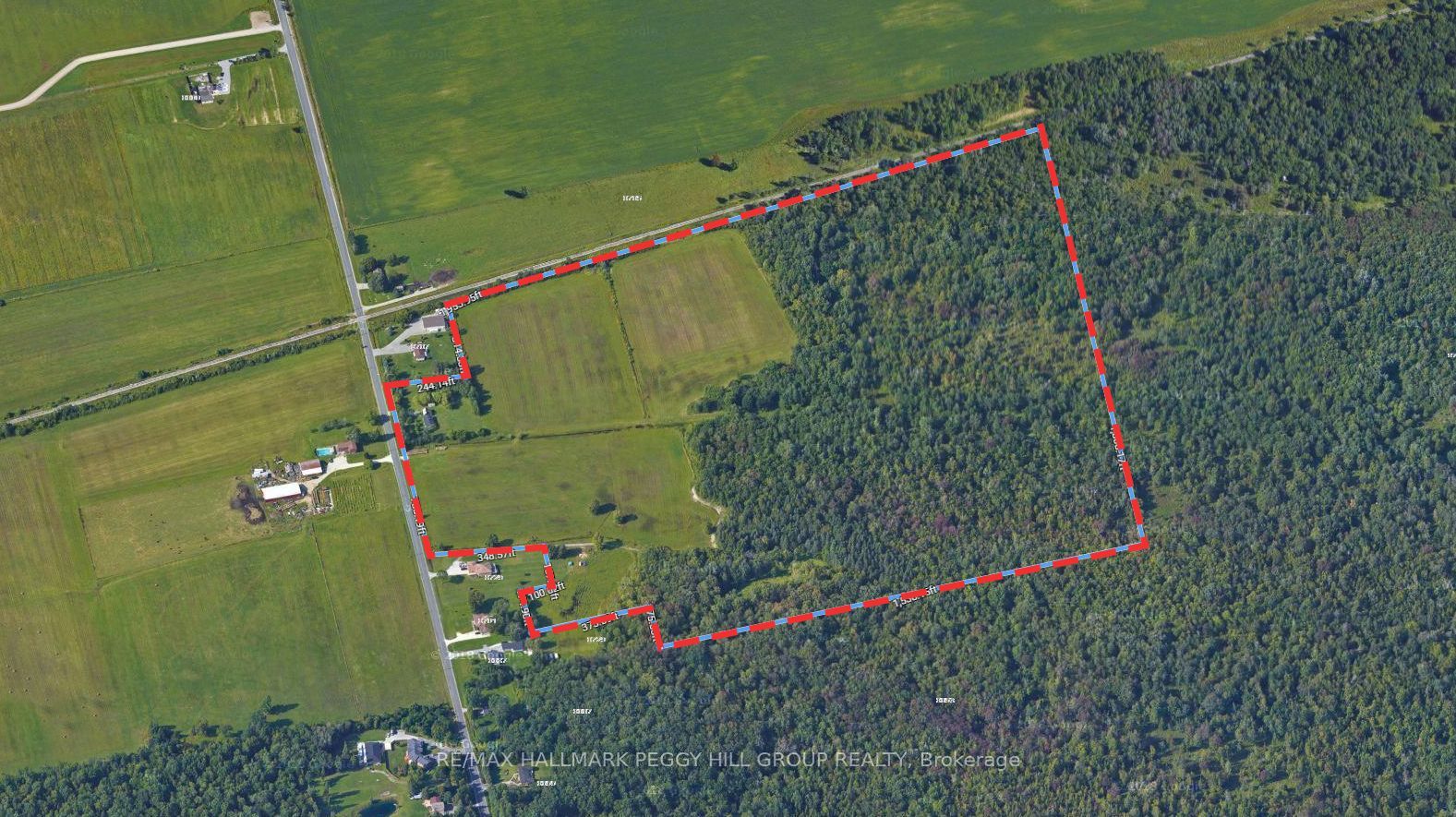8747 10th Line Property Photo 21
