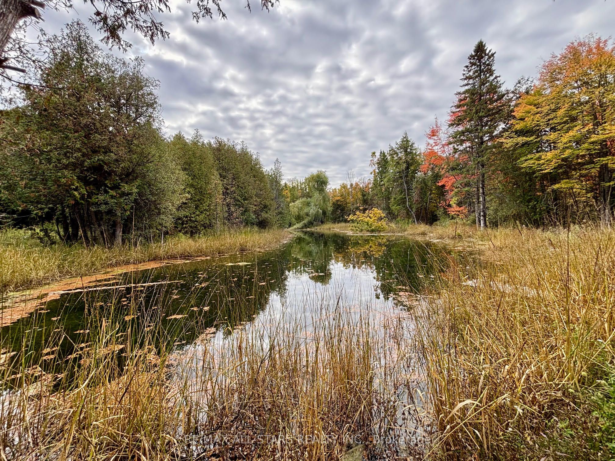 14200 Sideroad 18 Property Photo 22