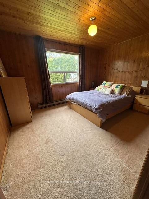 20 E Snake Island E Property Photo 25