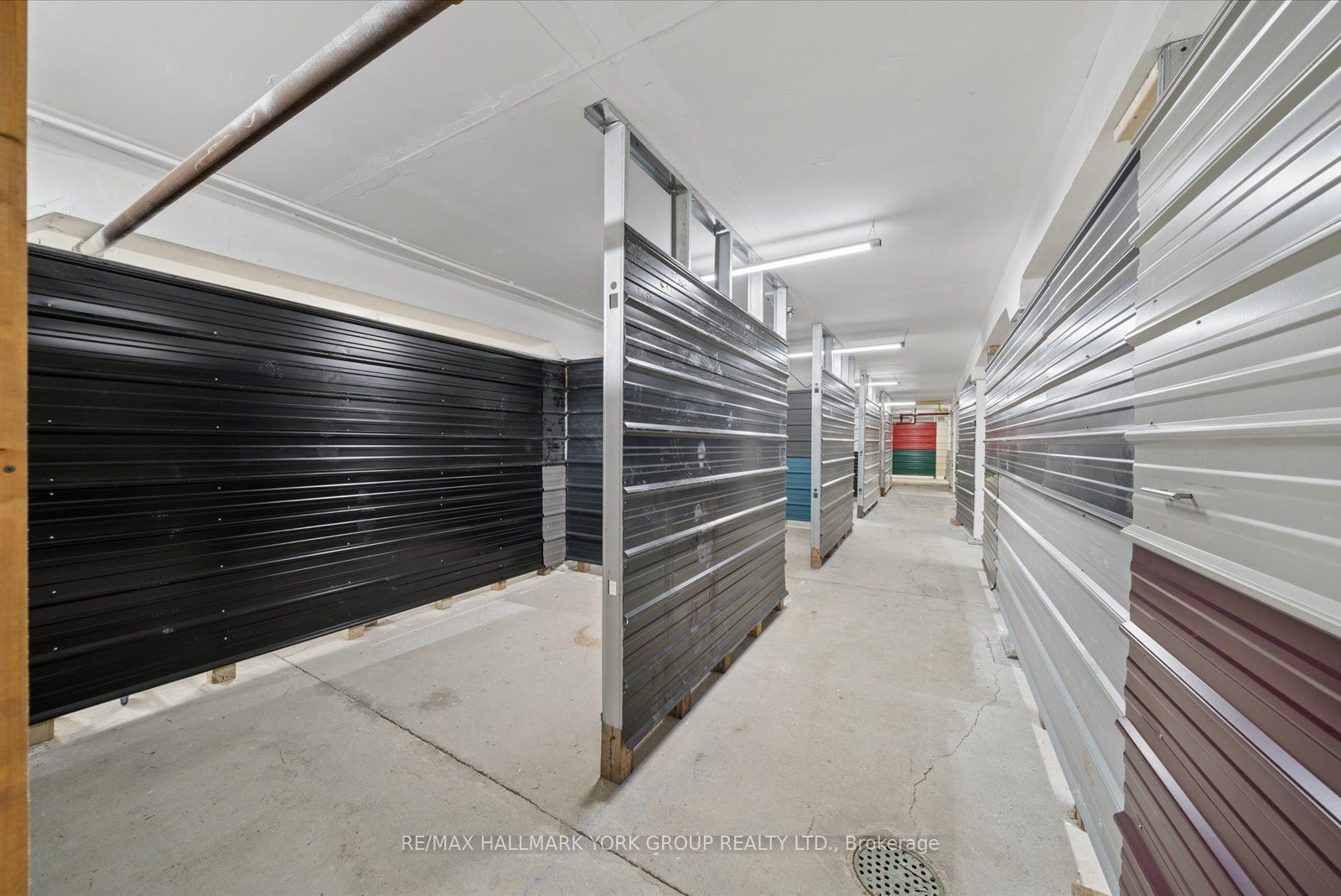 21 Ann Street Property Photo 34