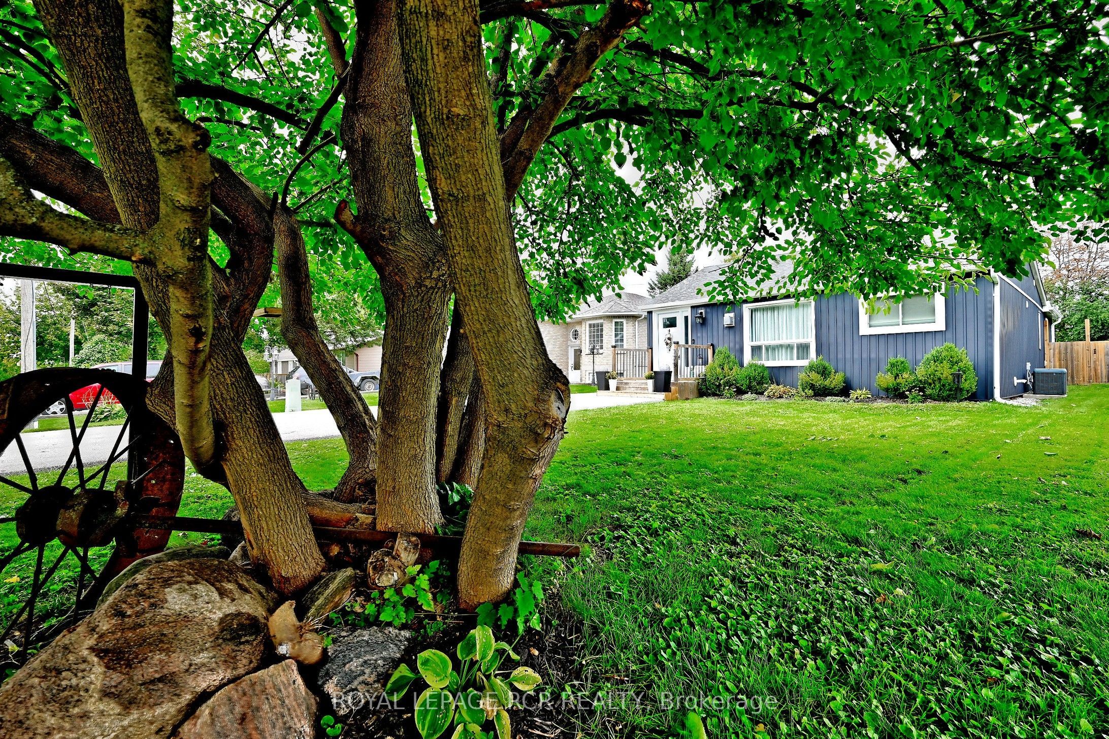 779 Sheppard Avenue Property Photo 3