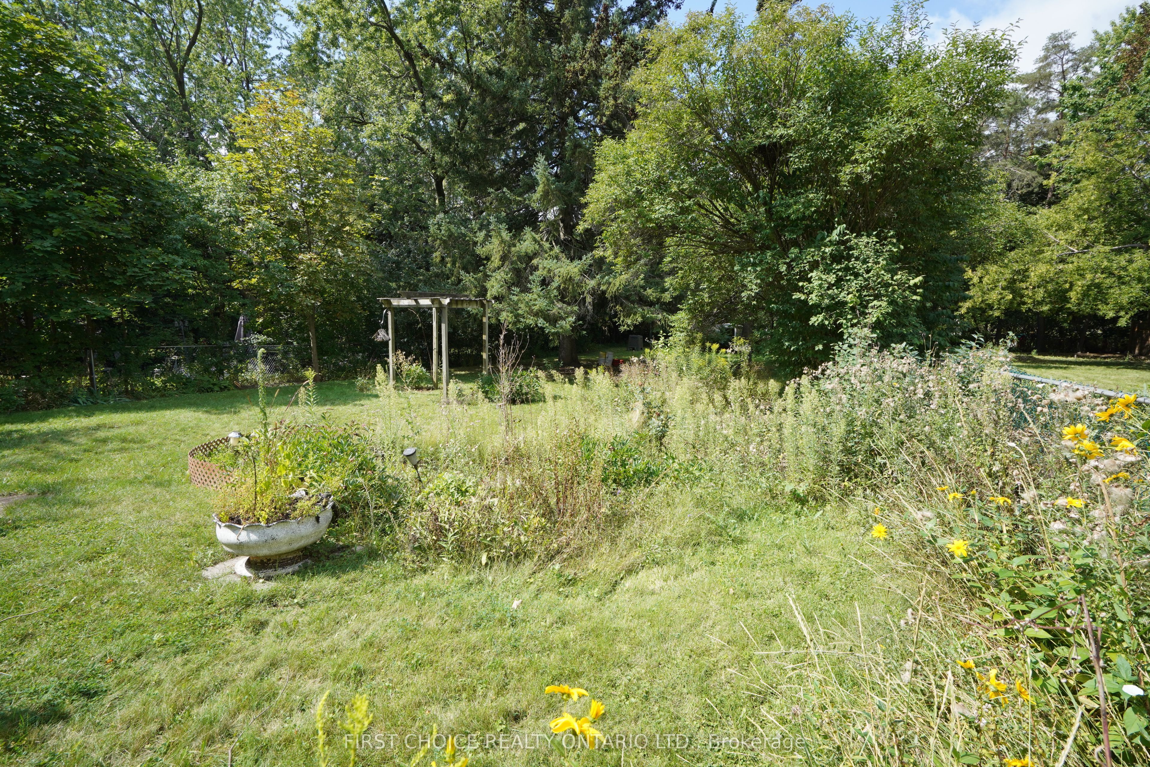 172 Colborne Avenue Property Photo 11
