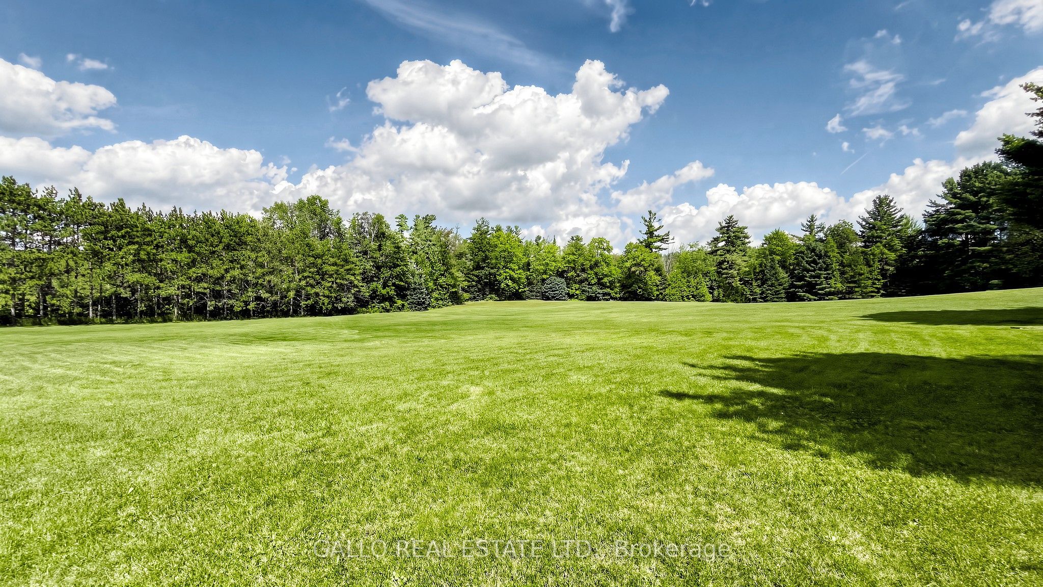 18865 Kennedy Road Property Photo 48