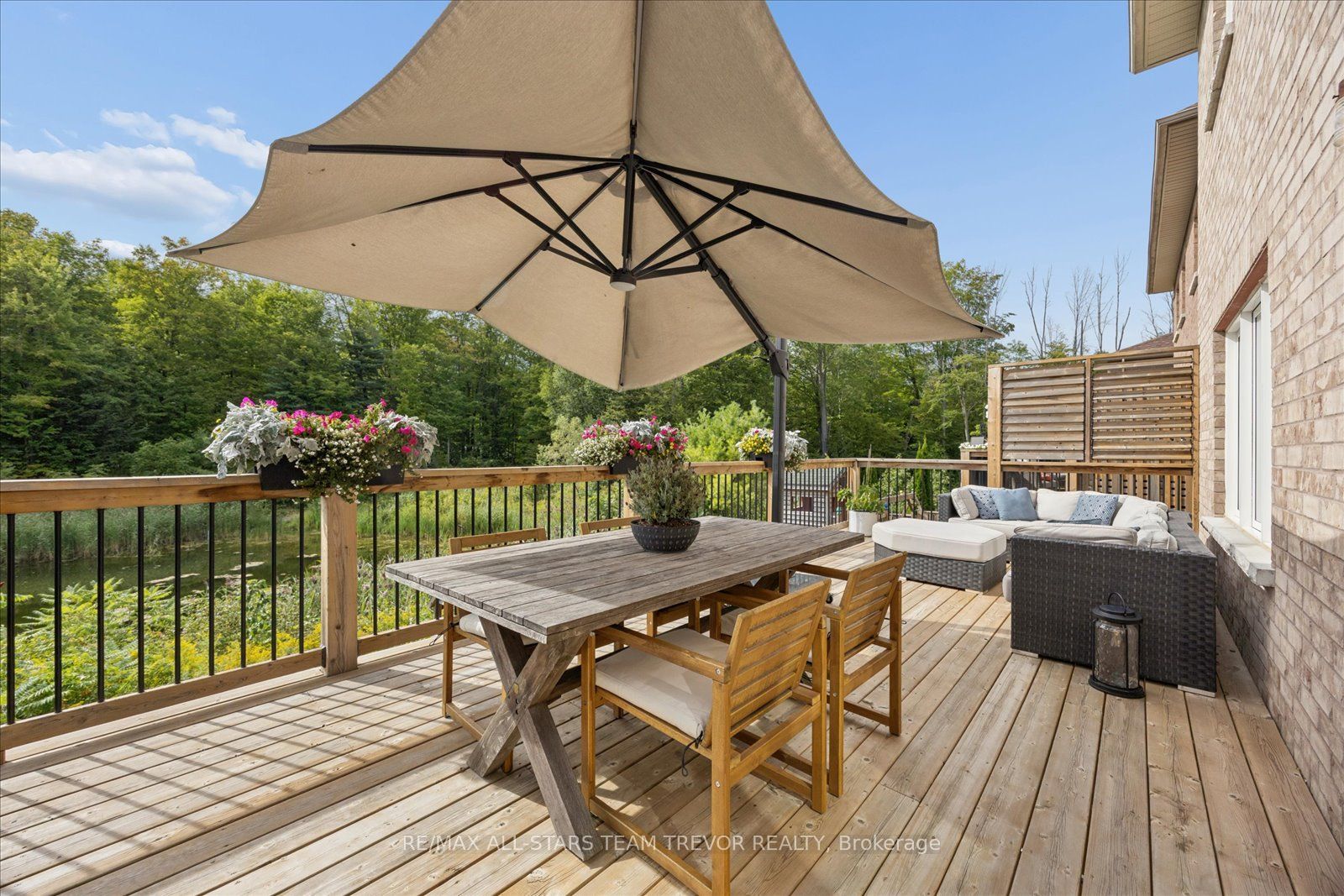 24 Scotia Road Property Photo 36