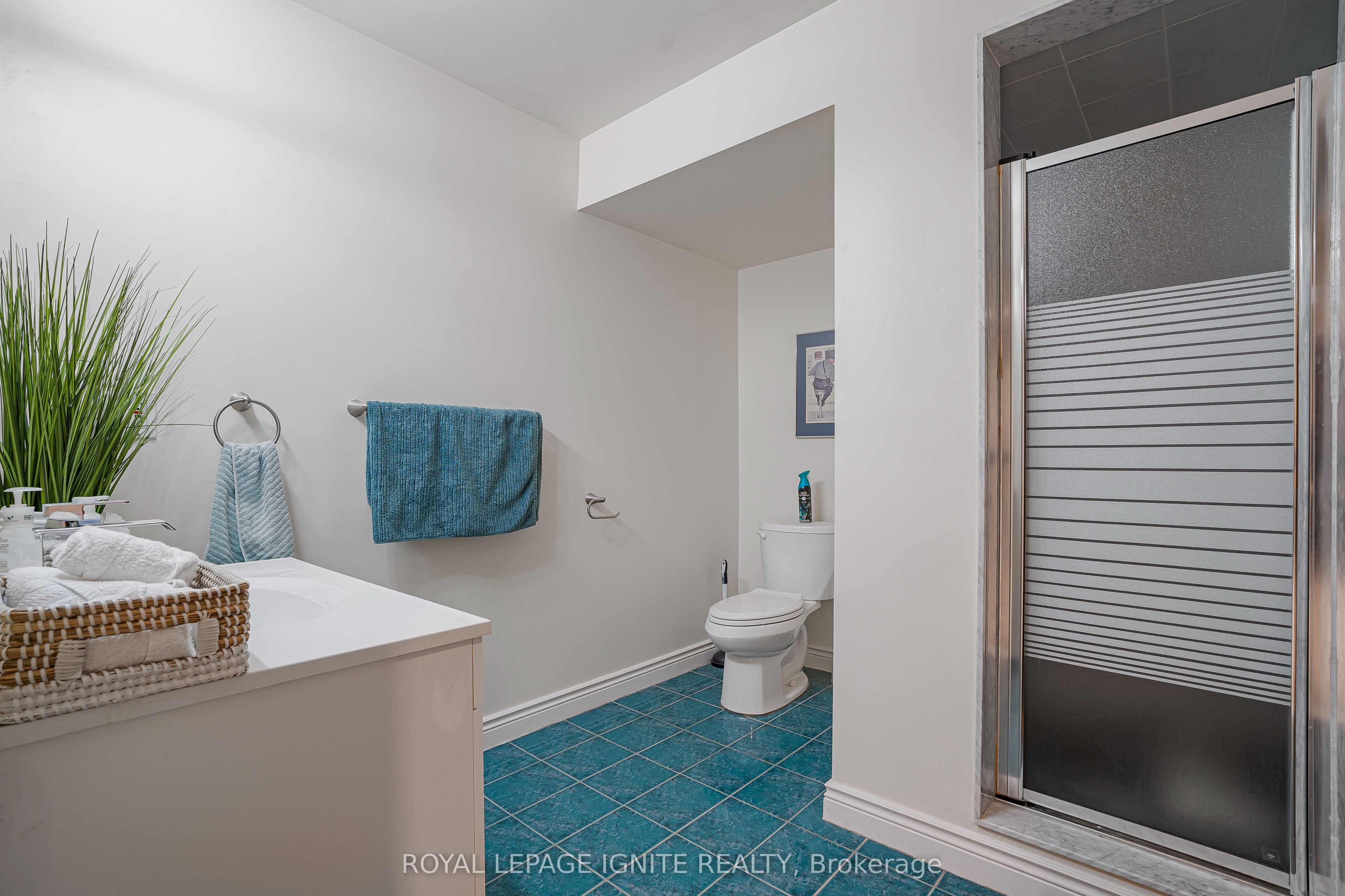 69 Raeview Drive Property Photo 38