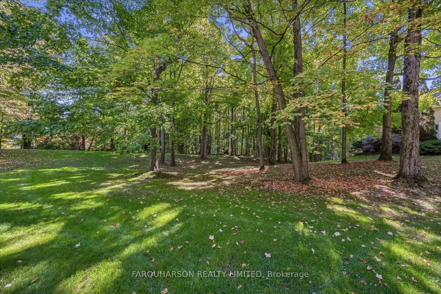 15 Skyridge Court Property Photo 24