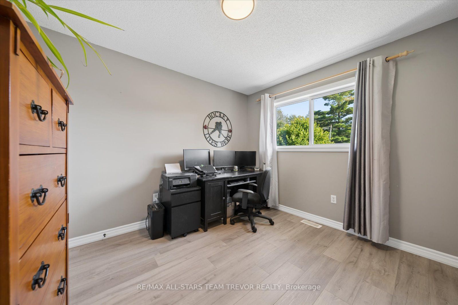 16 Evelyn Avenue Property Photo 24