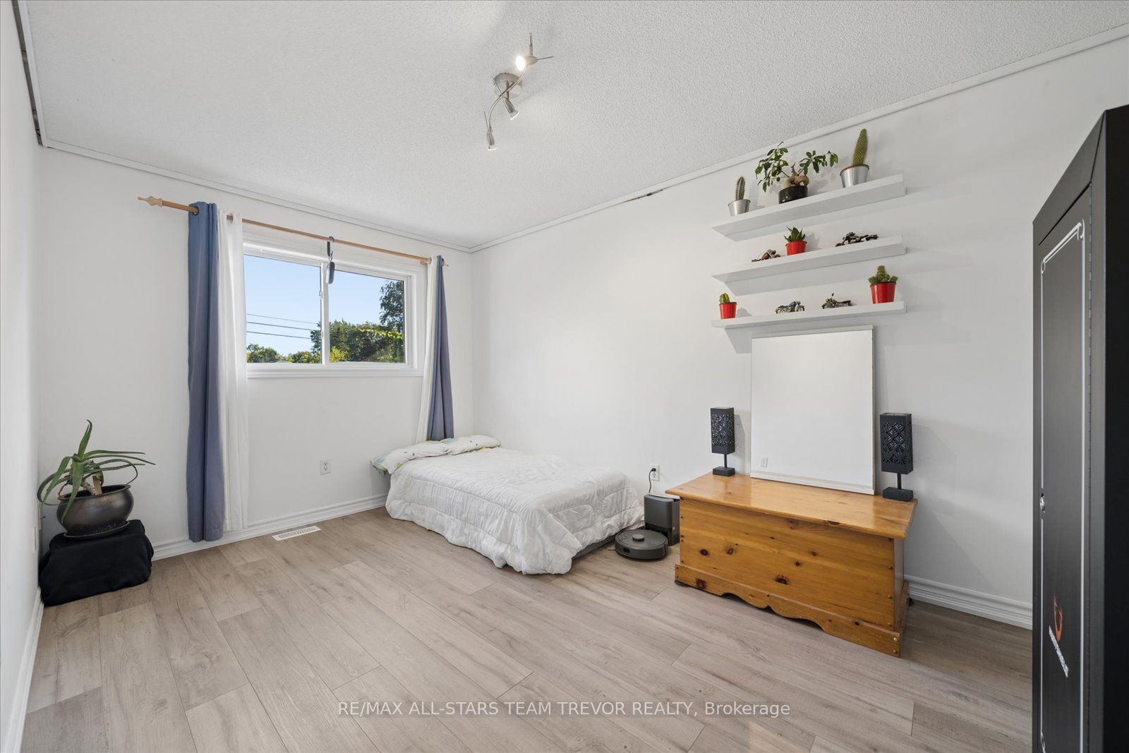 16 Evelyn Avenue Property Photo 26