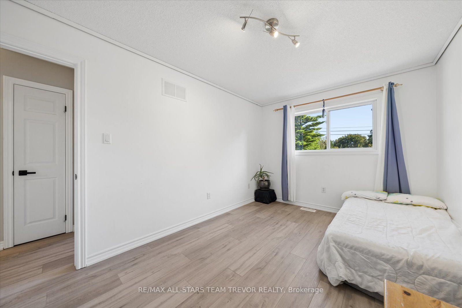 16 Evelyn Avenue Property Photo 27