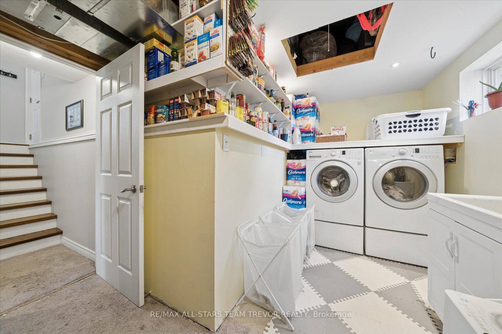 16 Evelyn Avenue Property Photo 36