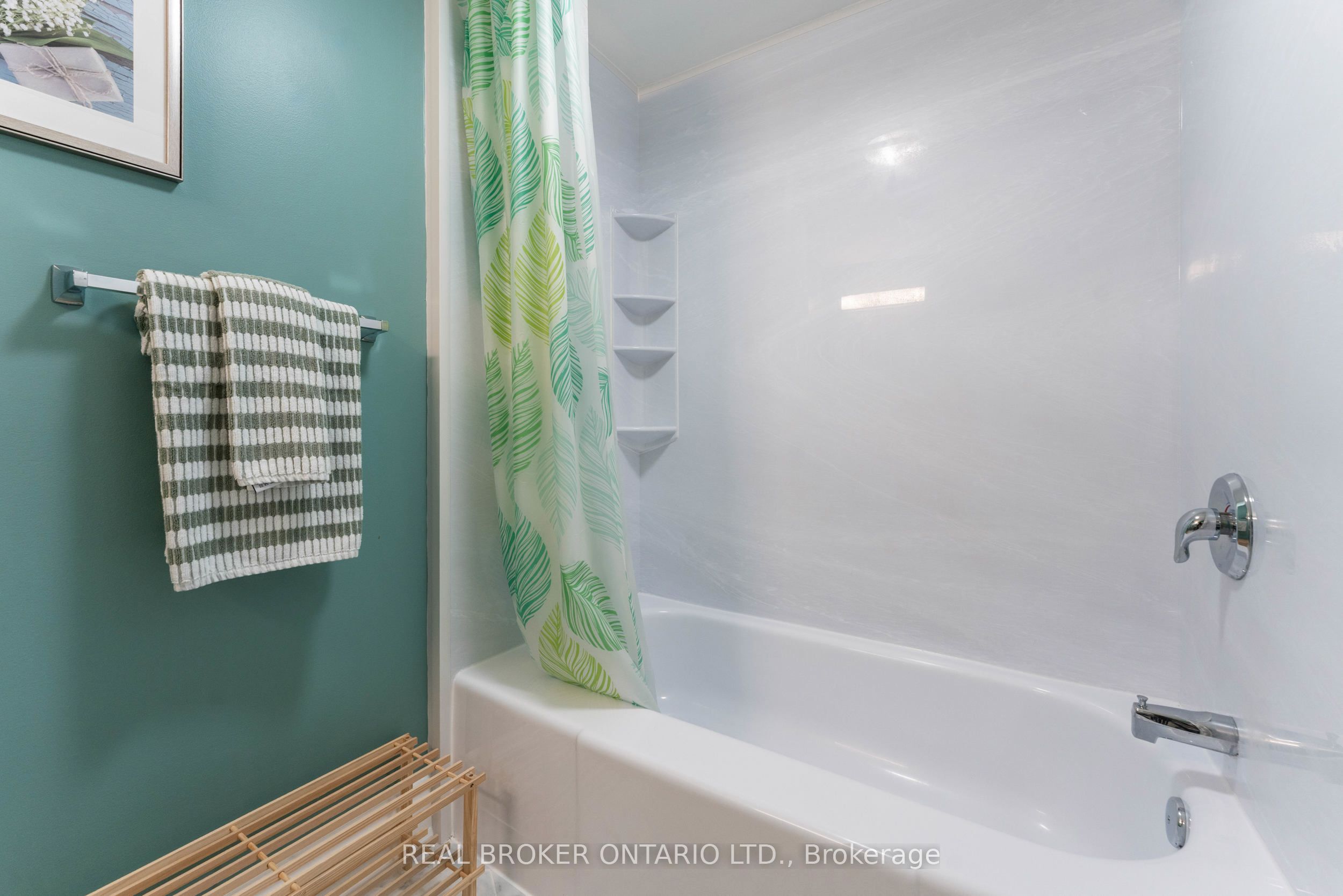 36 Albert Street 3 Property Photo 30