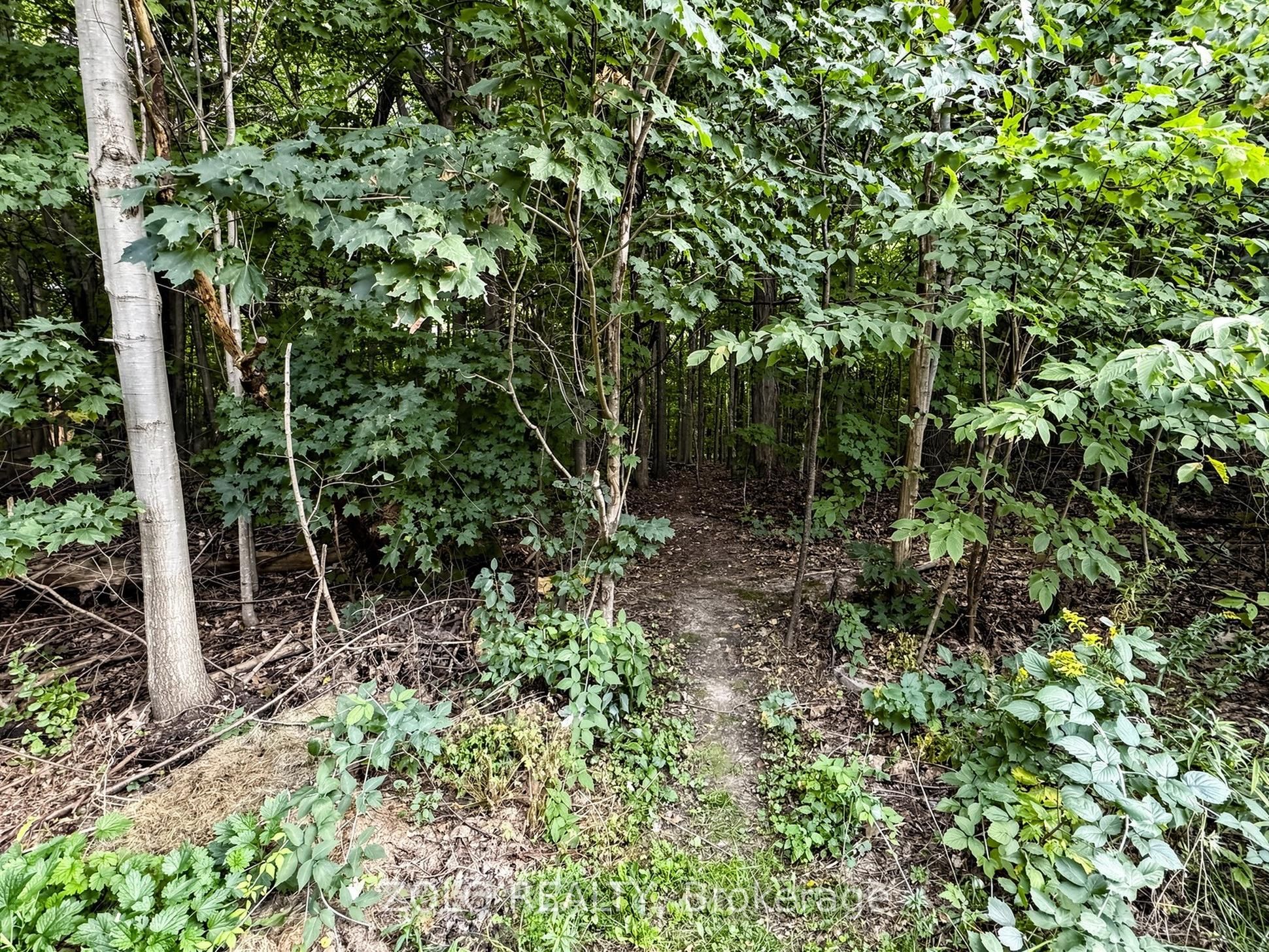247 Summeridge Drive Property Photo 44