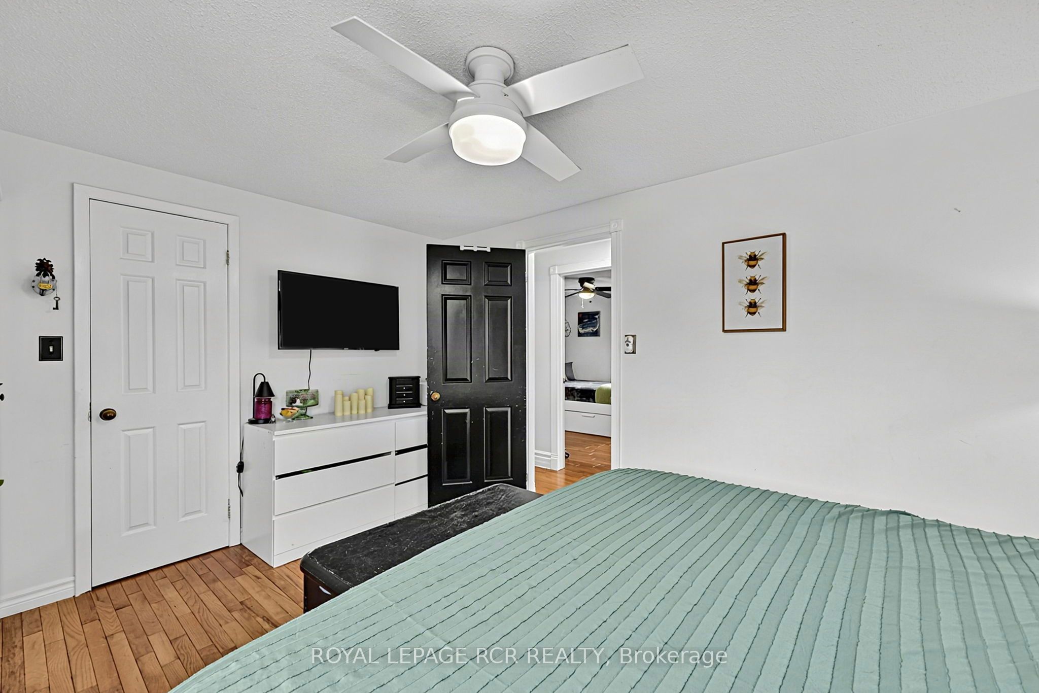 169 Mackenzie Street Property Photo 21
