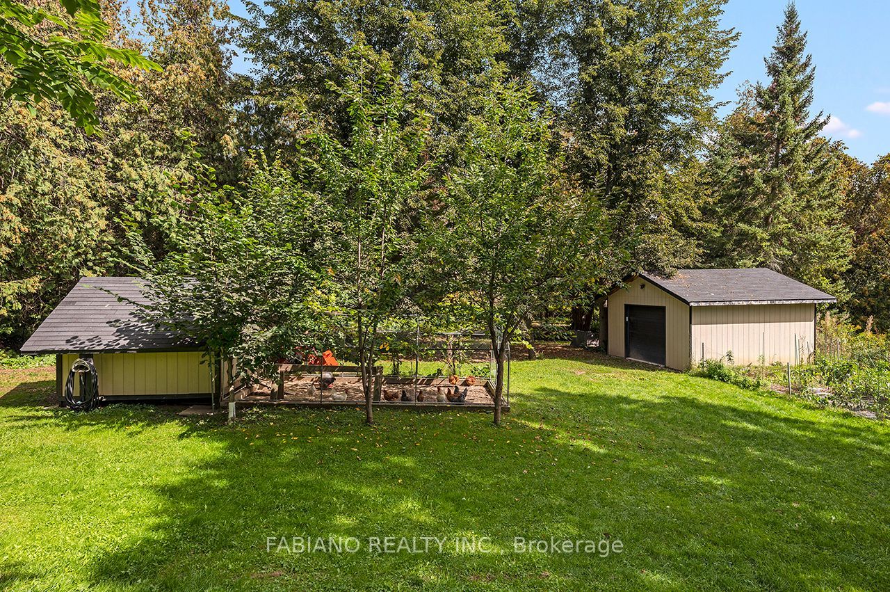 4767 14th Line Property Photo 47
