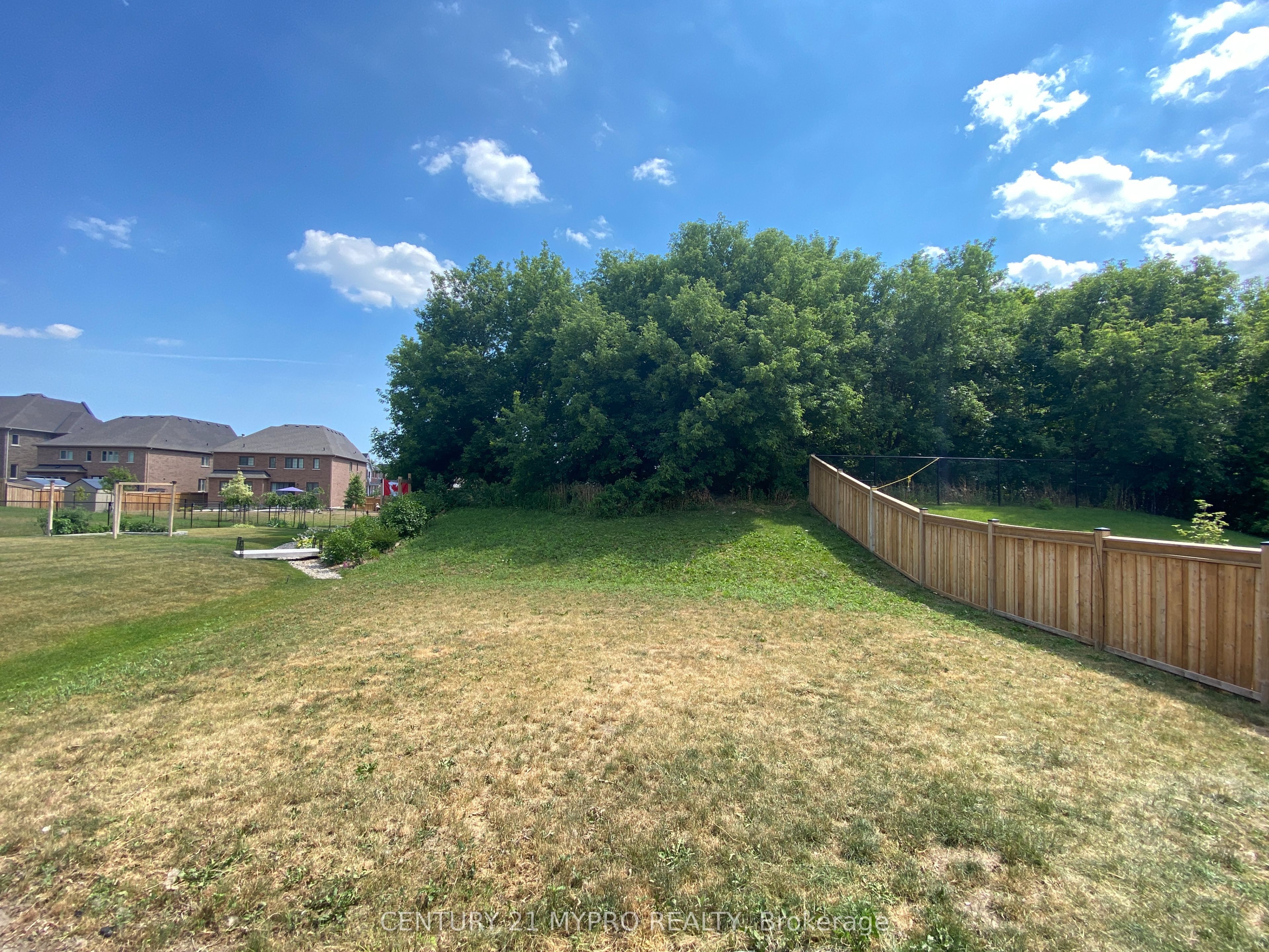81 David Willson Trail Property Photo 23