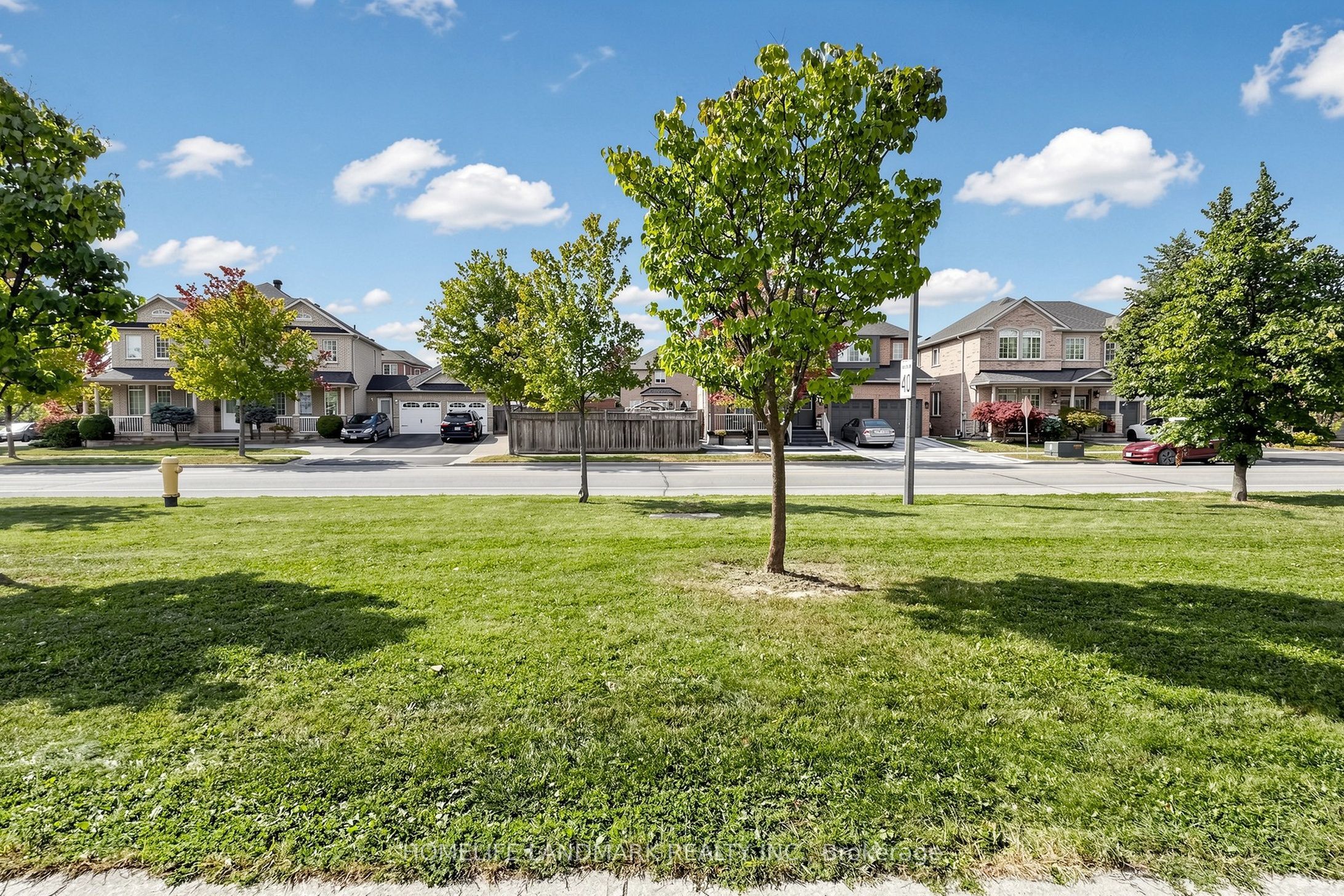 247 Mingay Avenue Property Photo 3